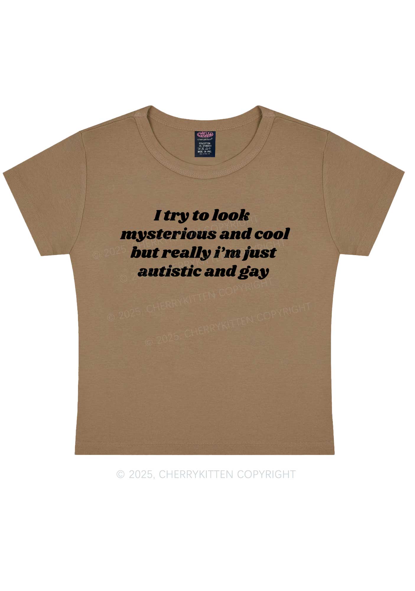 Im Just Autistic And Gay Pride Y2K Baby Tee Cherrykitten