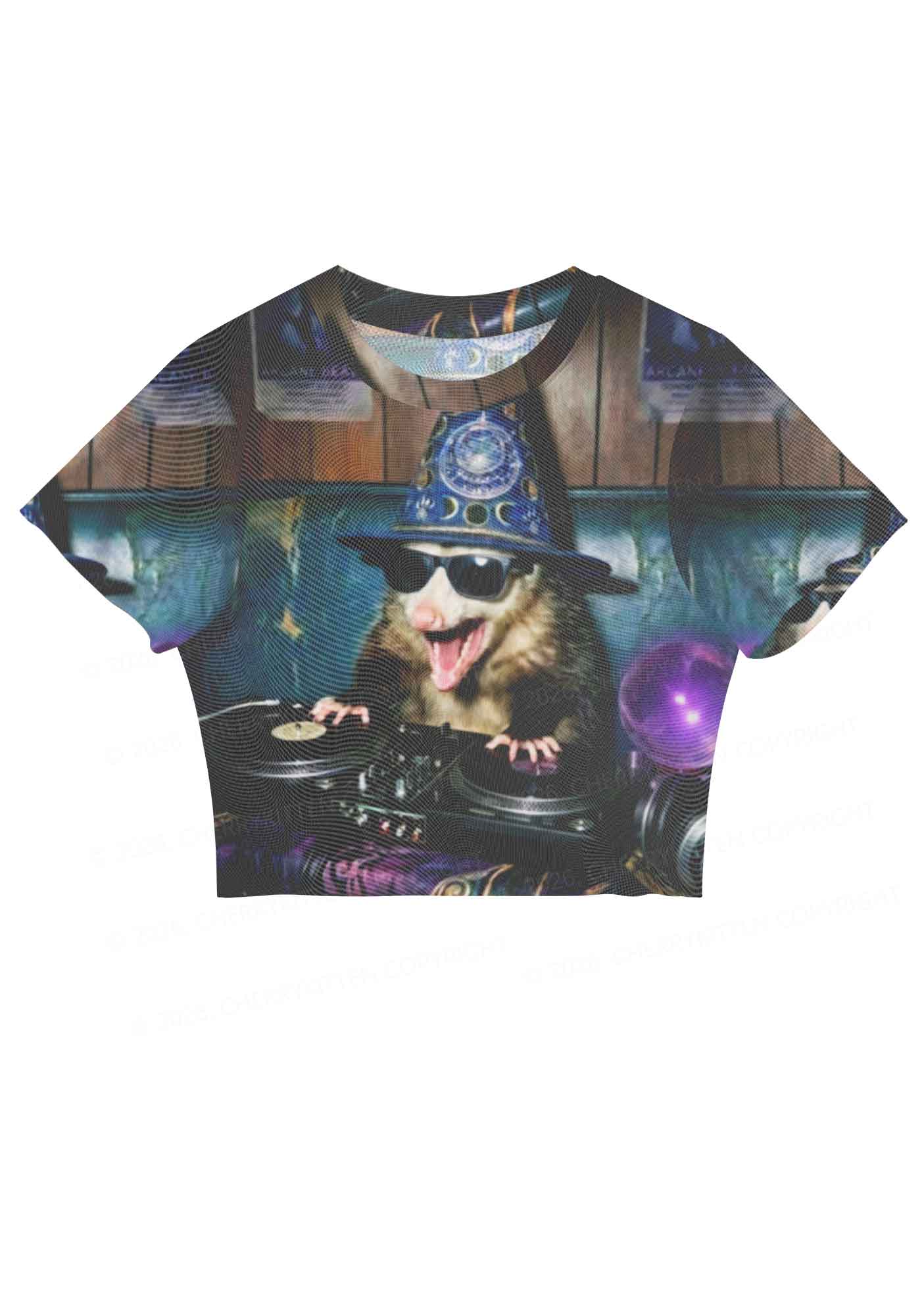 Wizard Opossum DJ Y2K Mesh Crop Top Cherrykitten