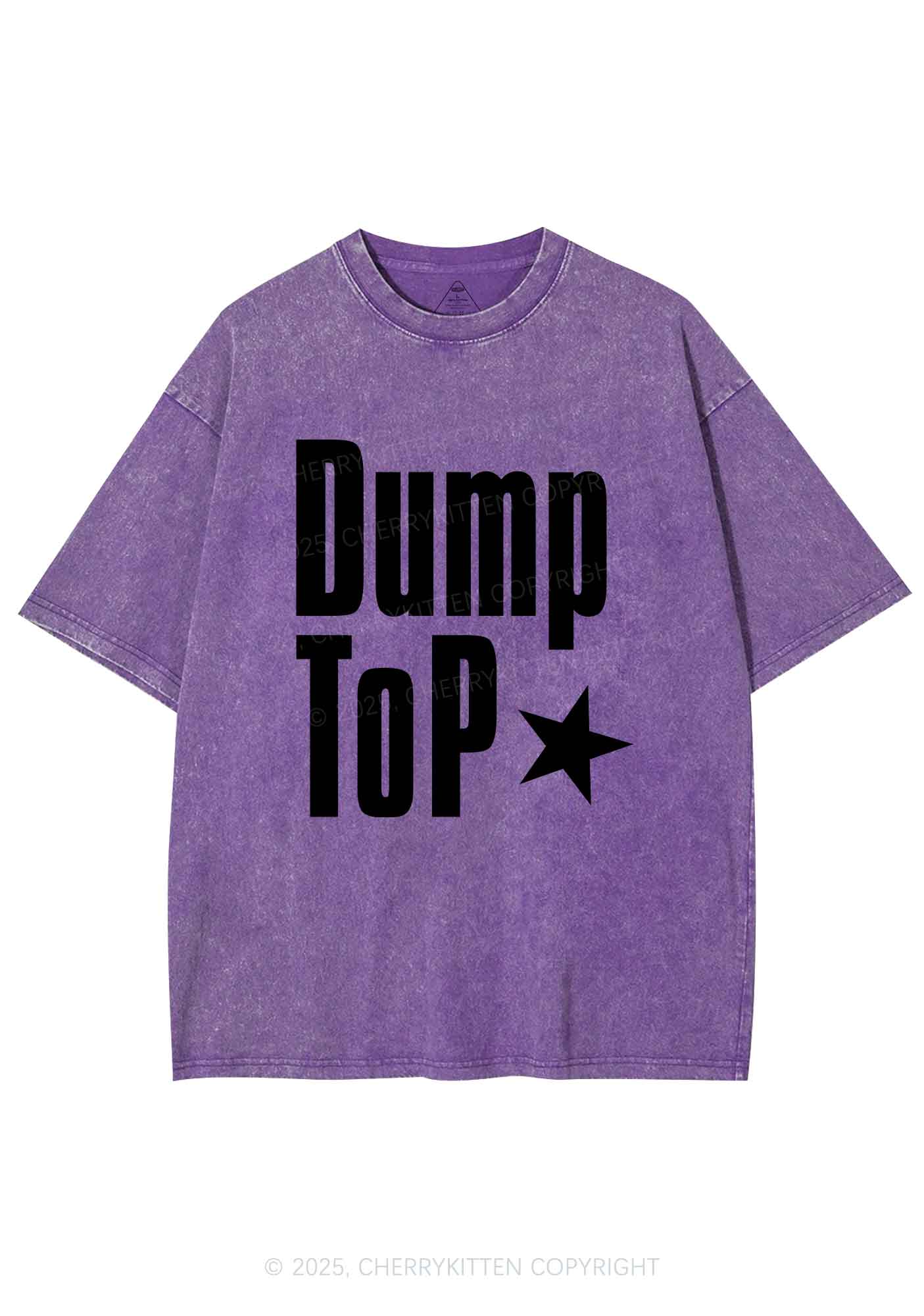 Dump Top Pride Y2K Shirts Washed Tee Cherrykitten