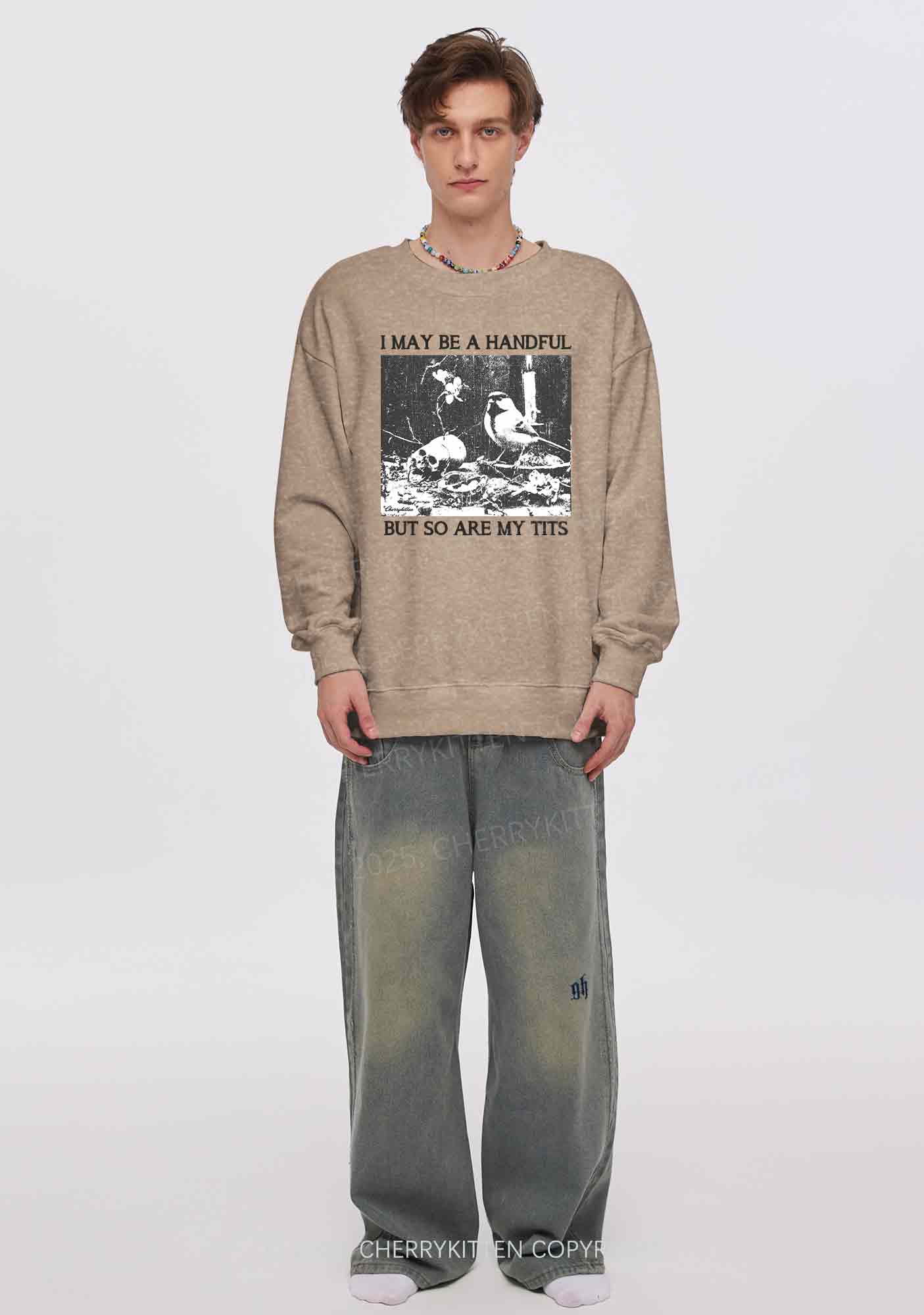 Halloween I May Be A Handful Y2K Washed Sweatshirts Cherrykitten