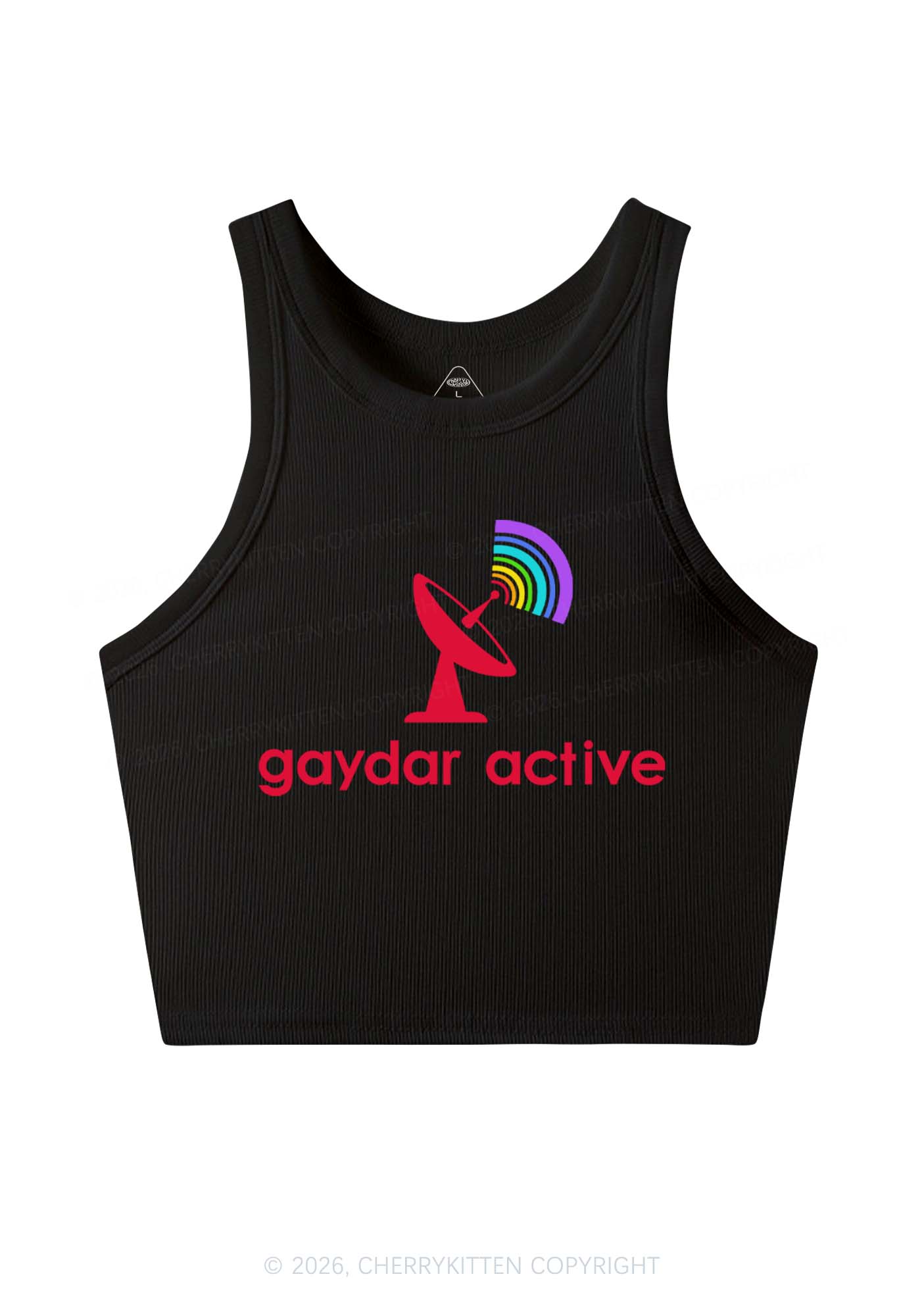 Gaydar Active Pride Y2K Crop Tank Top Cherrykitten