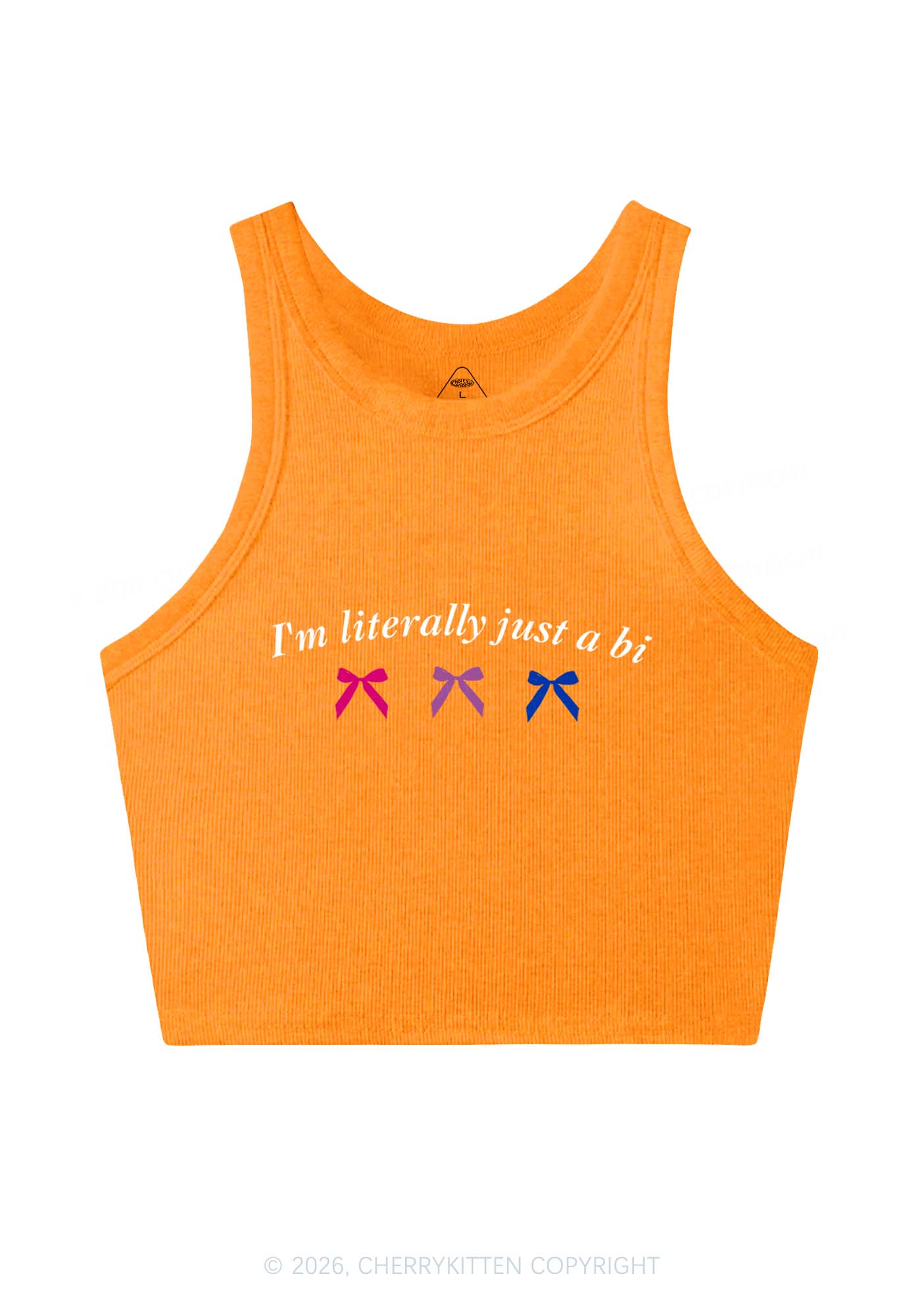 Im Literally Just A Bi Pride Y2K Crop Tank Top Cherrykitten