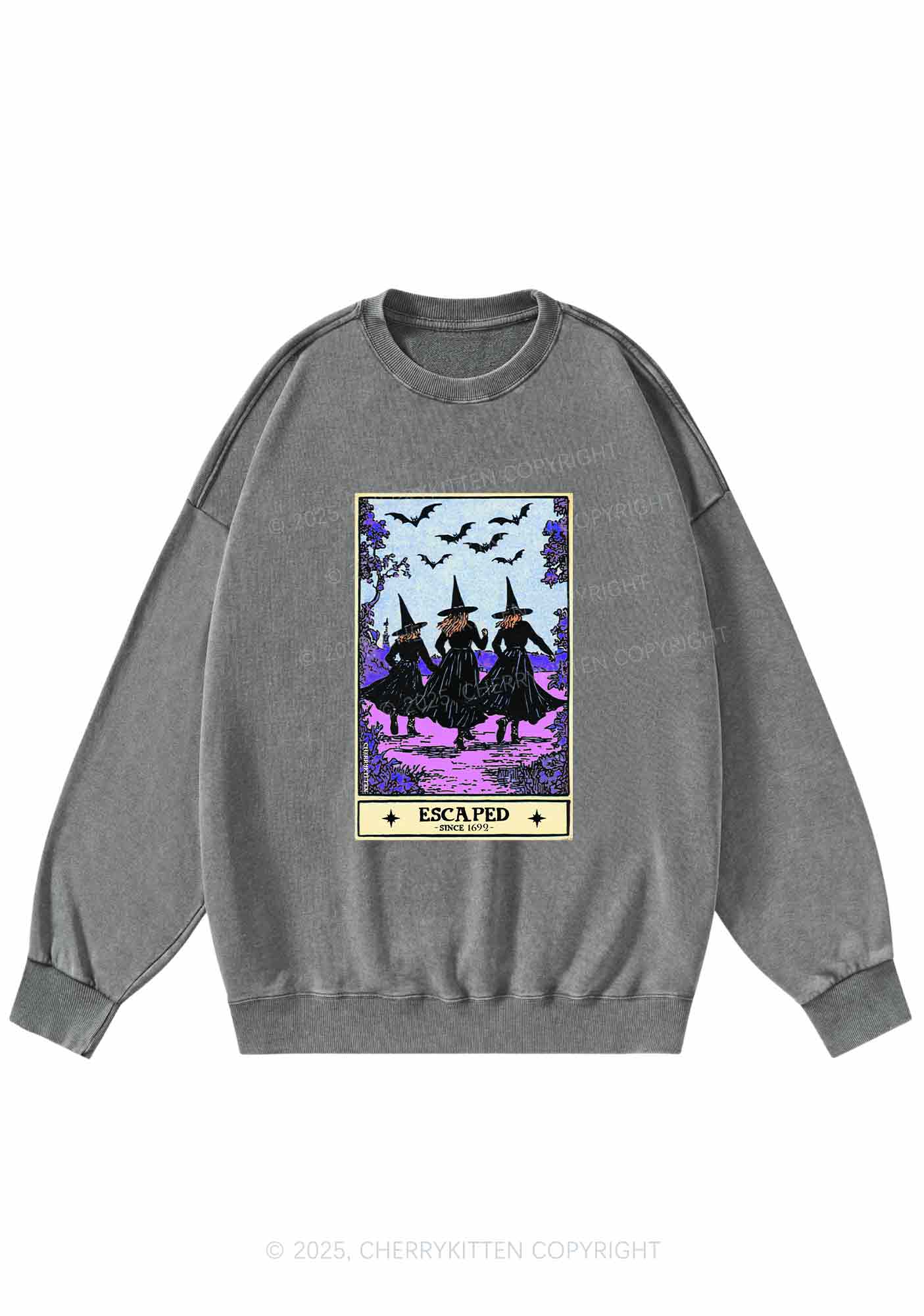 Halloween Escaped Witch Y2K Washed Sweatshirts Cherrykitten