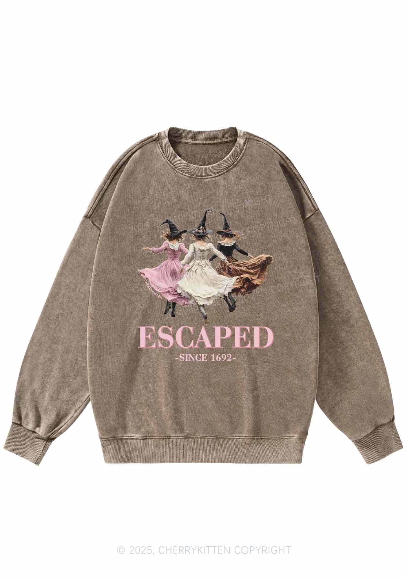 Halloween Escaped Skirts Witches Y2K Washed Sweatshirts Cherrykitten