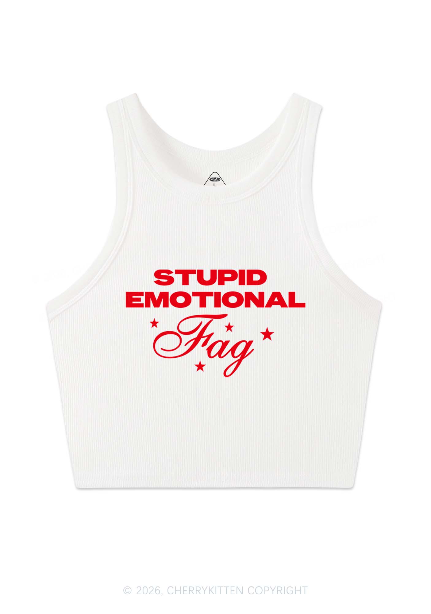 Stupid Emotional Fag Pride Y2K Crop Tank Top Cherrykitten