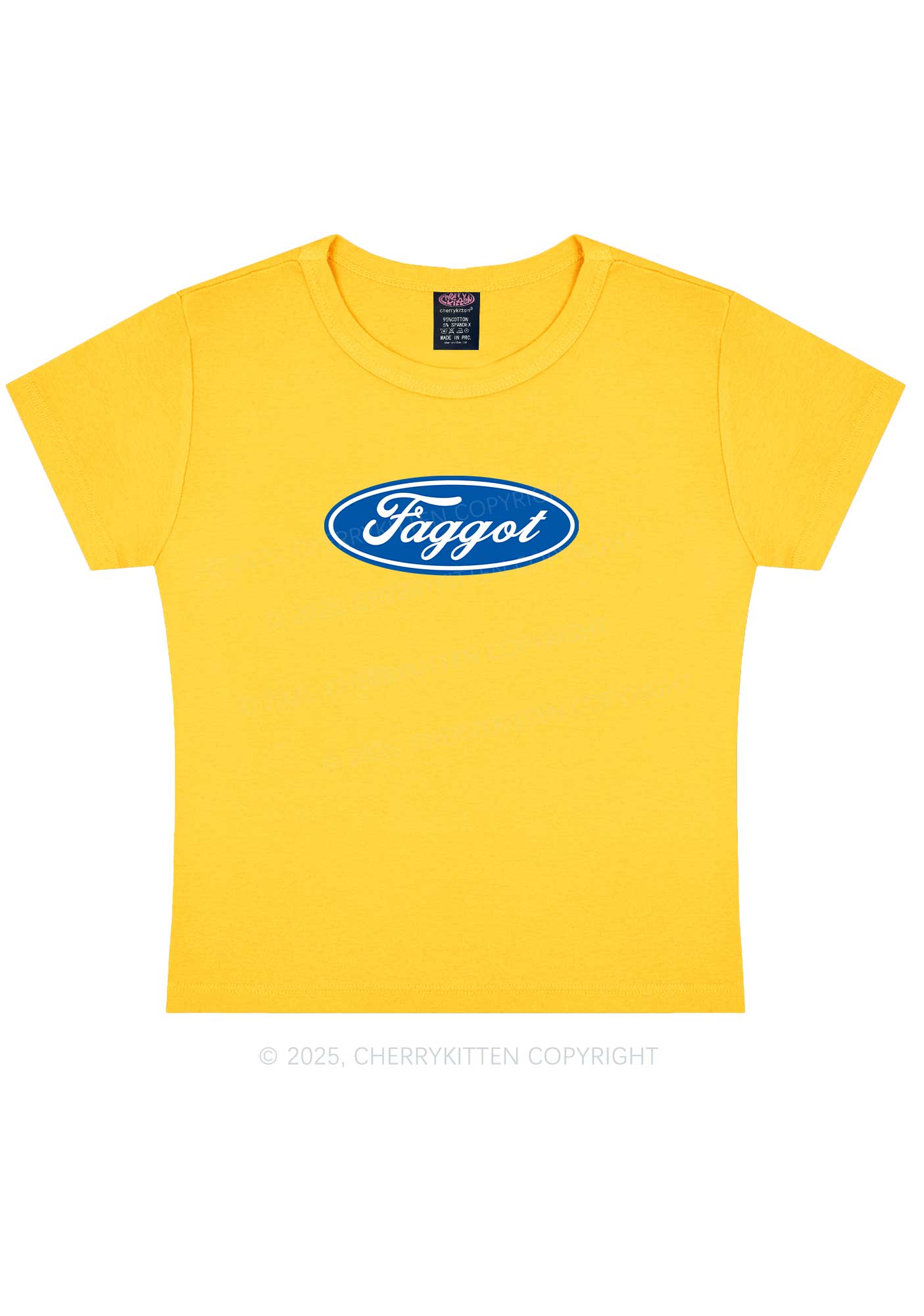 Faggot Pride Y2K Baby Tee Cherrykitten