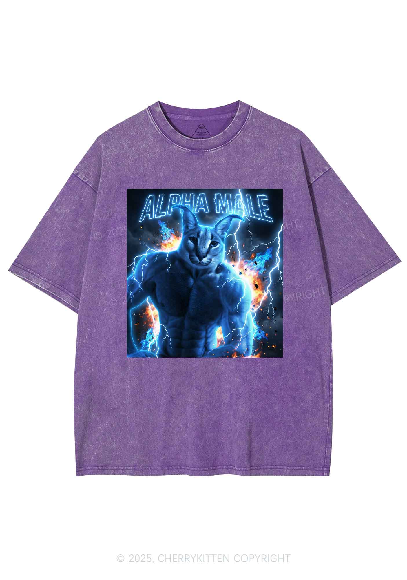 Alpha Male Floppa Y2K Shirts Washed Tee Cherrykitten