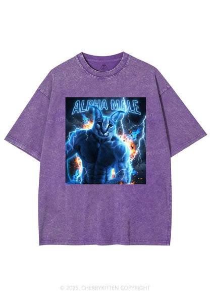 Alpha Male Floppa Y2K Shirts Washed Tee Cherrykitten