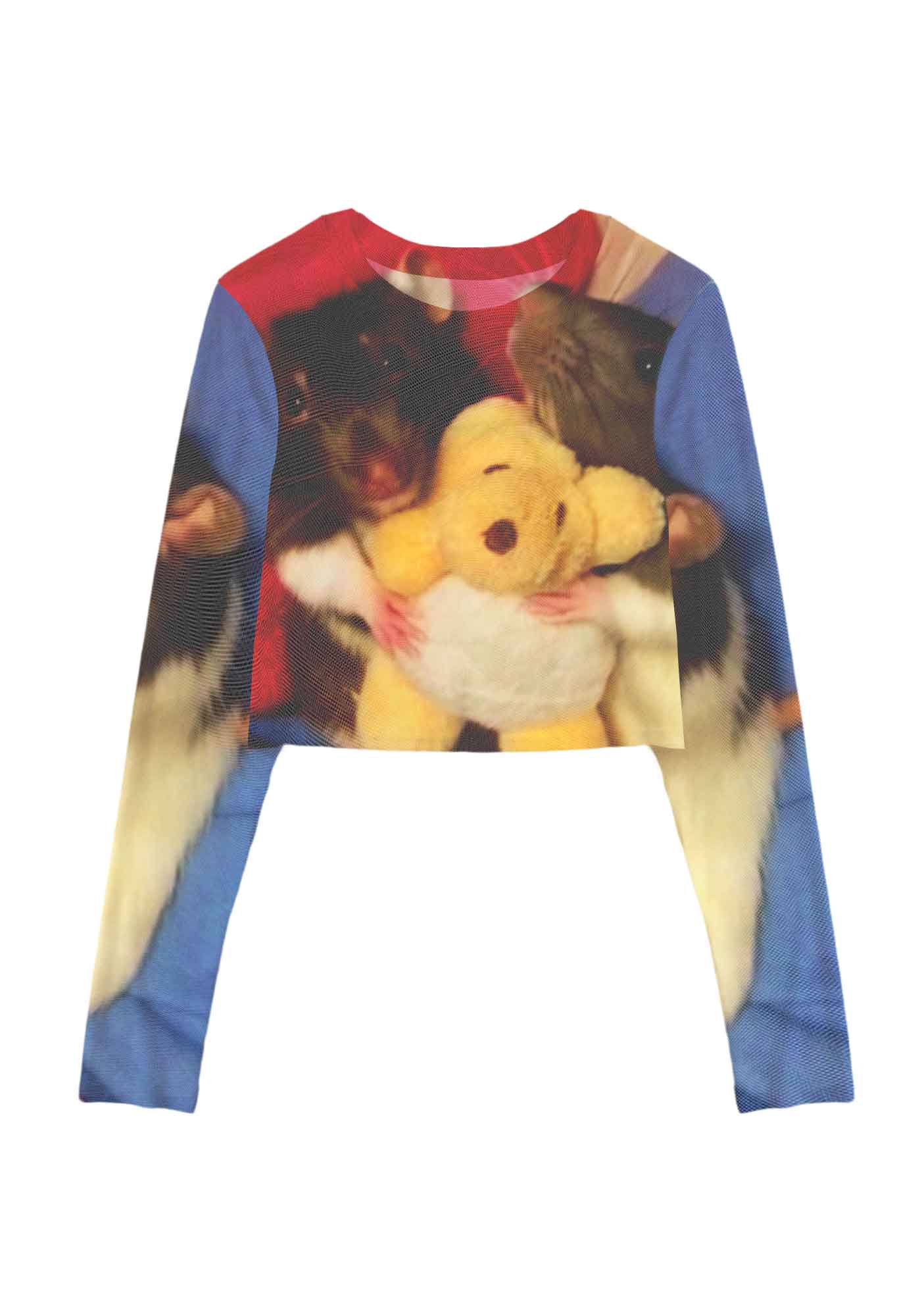 Rats with Doll Y2K Mesh Long Sleeve Crop Top Cherrykitten