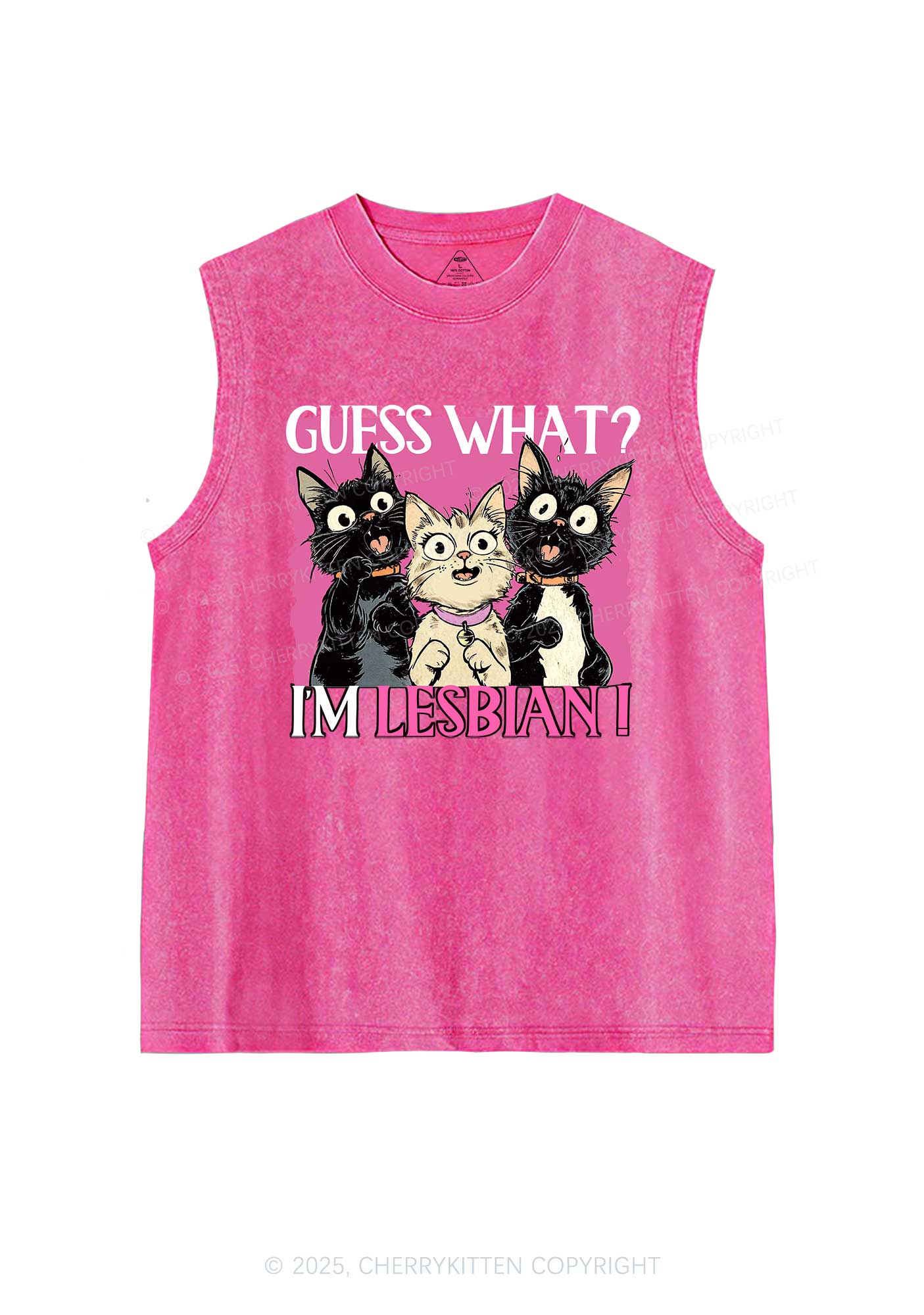 Im Lesbian Cat Pride Y2K Washed Muscle Tank Cherrykitten
