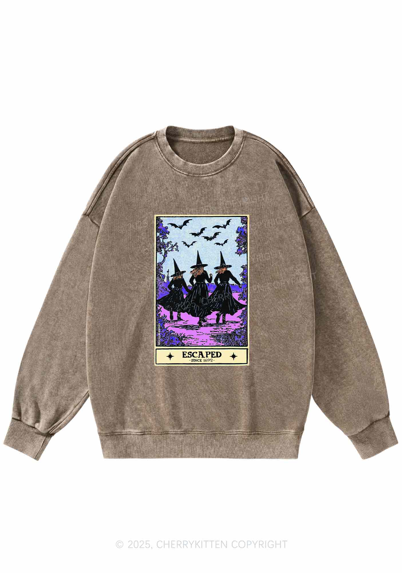 Halloween Escaped Witch Y2K Washed Sweatshirts Cherrykitten