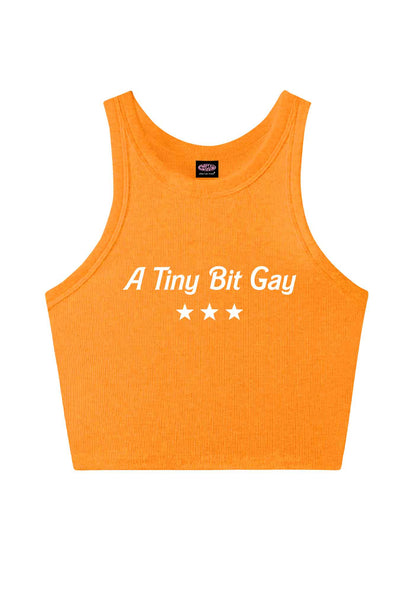 A Tiny Bit Gay Pride Y2K Crop Tank Top Cherrykitten