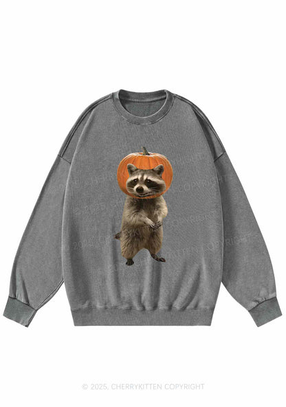 Halloween Silly Raccoon Y2K Washed Sweatshirts Cherrykitten