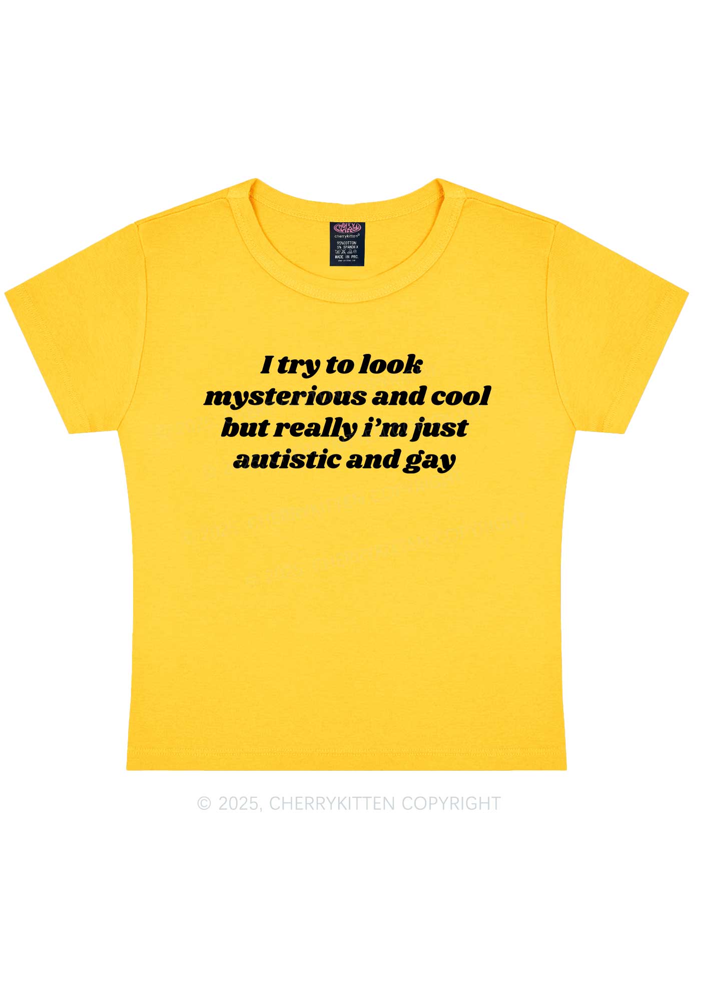 Im Just Autistic And Gay Pride Y2K Baby Tee Cherrykitten