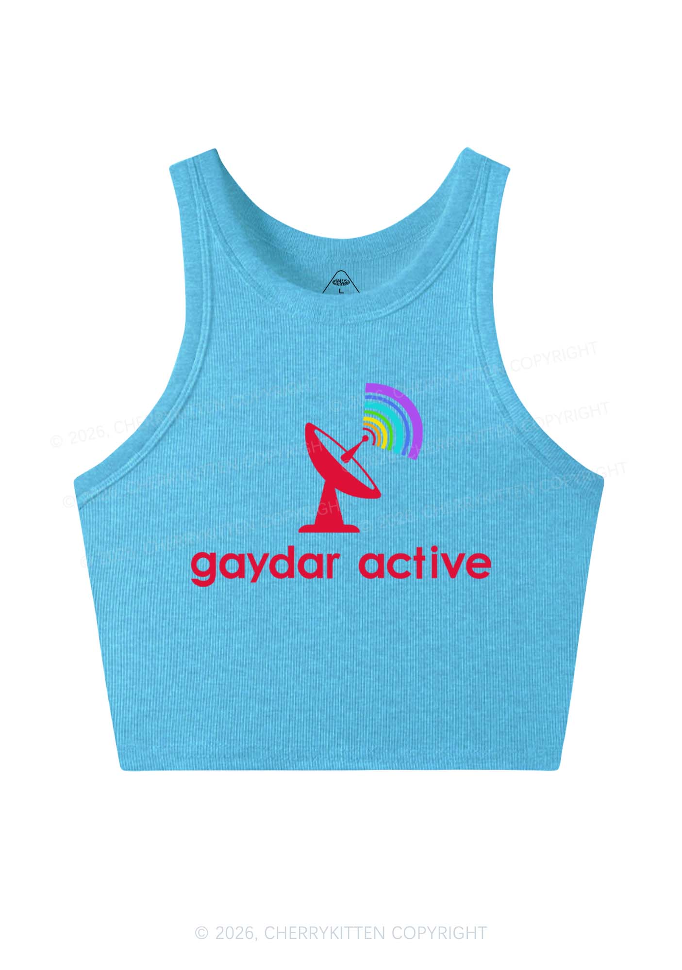 Gaydar Active Pride Y2K Crop Tank Top Cherrykitten