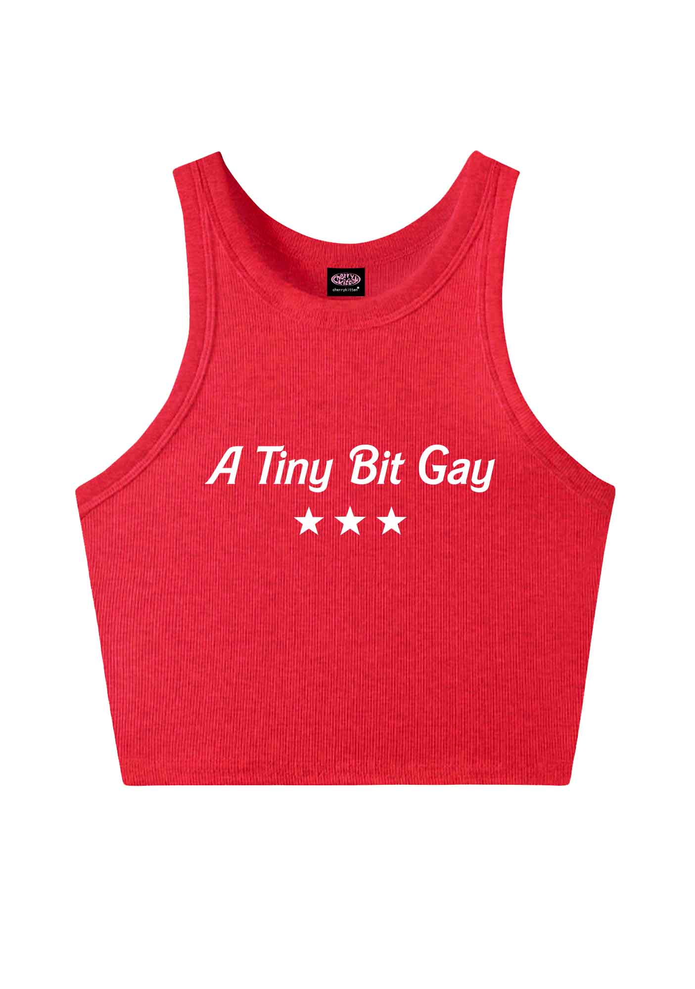 A Tiny Bit Gay Pride Y2K Crop Tank Top Cherrykitten