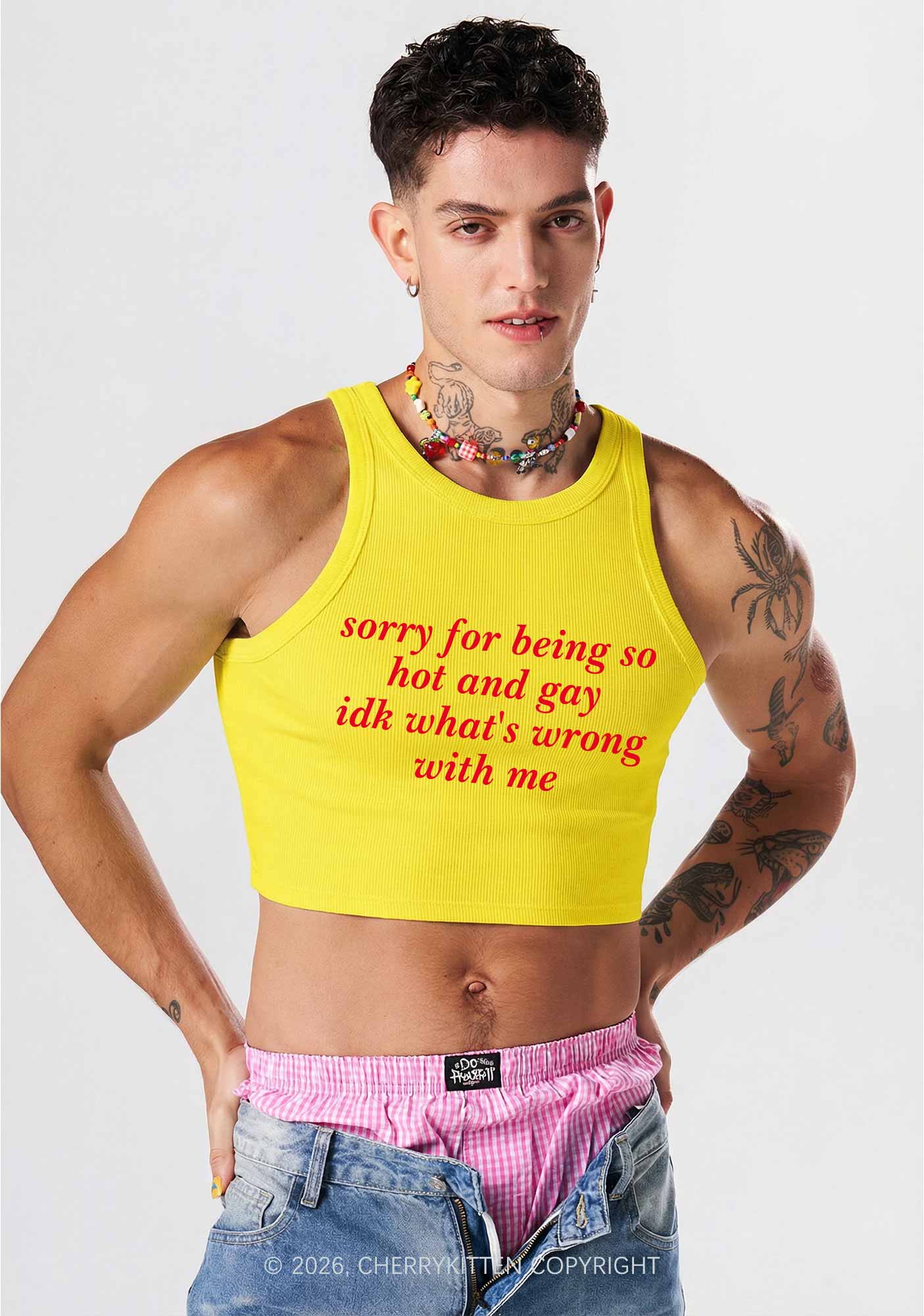 Sorry For Being Gay Pride Y2K Crop Tank Top Cherrykitten