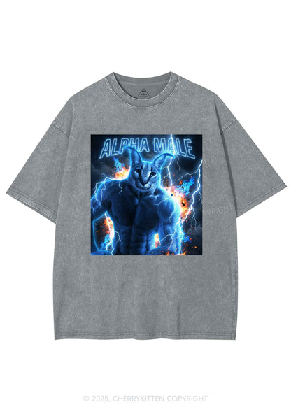 Alpha Male Floppa Y2K Shirts Washed Tee Cherrykitten