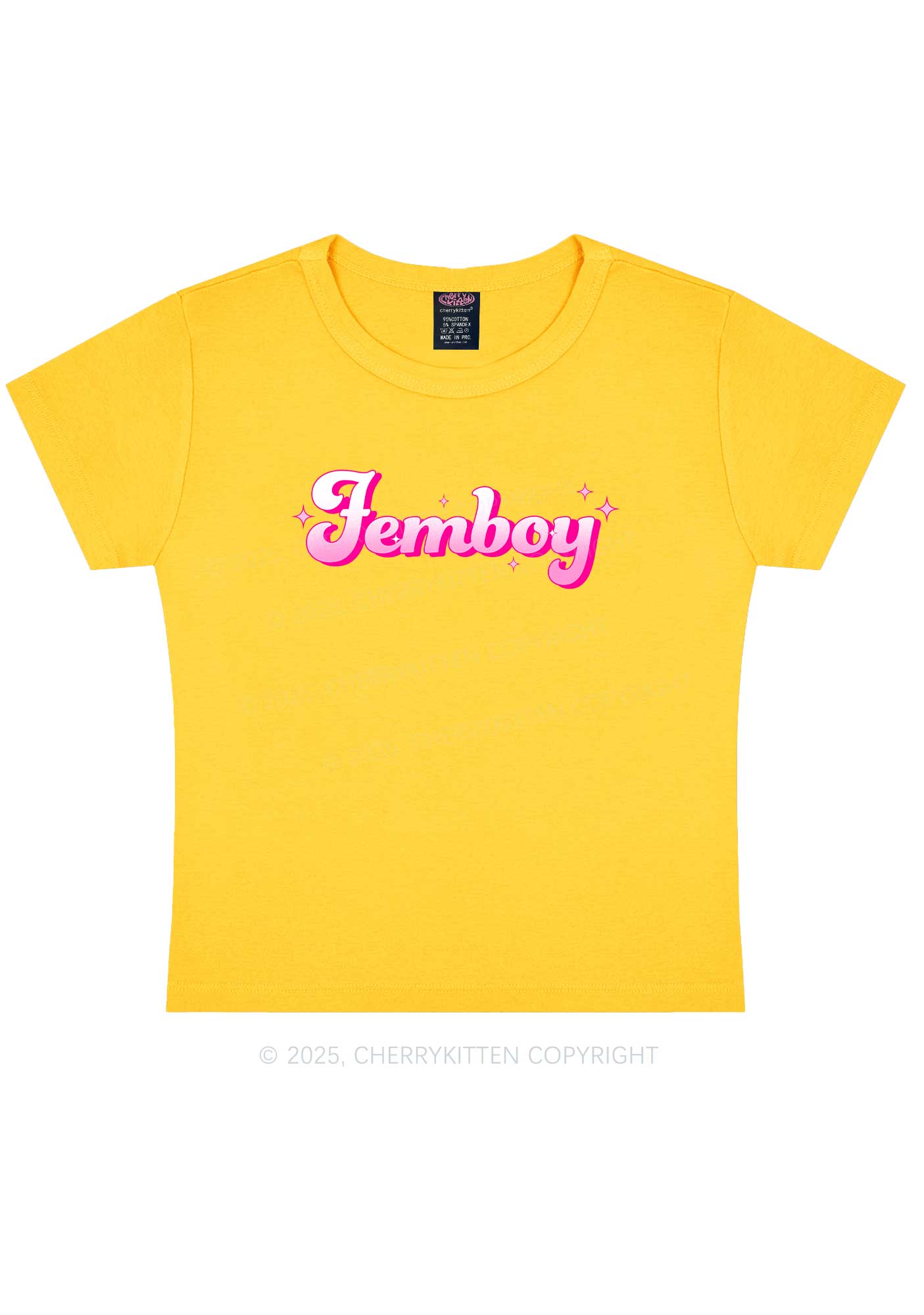 Femboy Pride Y2K Baby Tee Cherrykitten