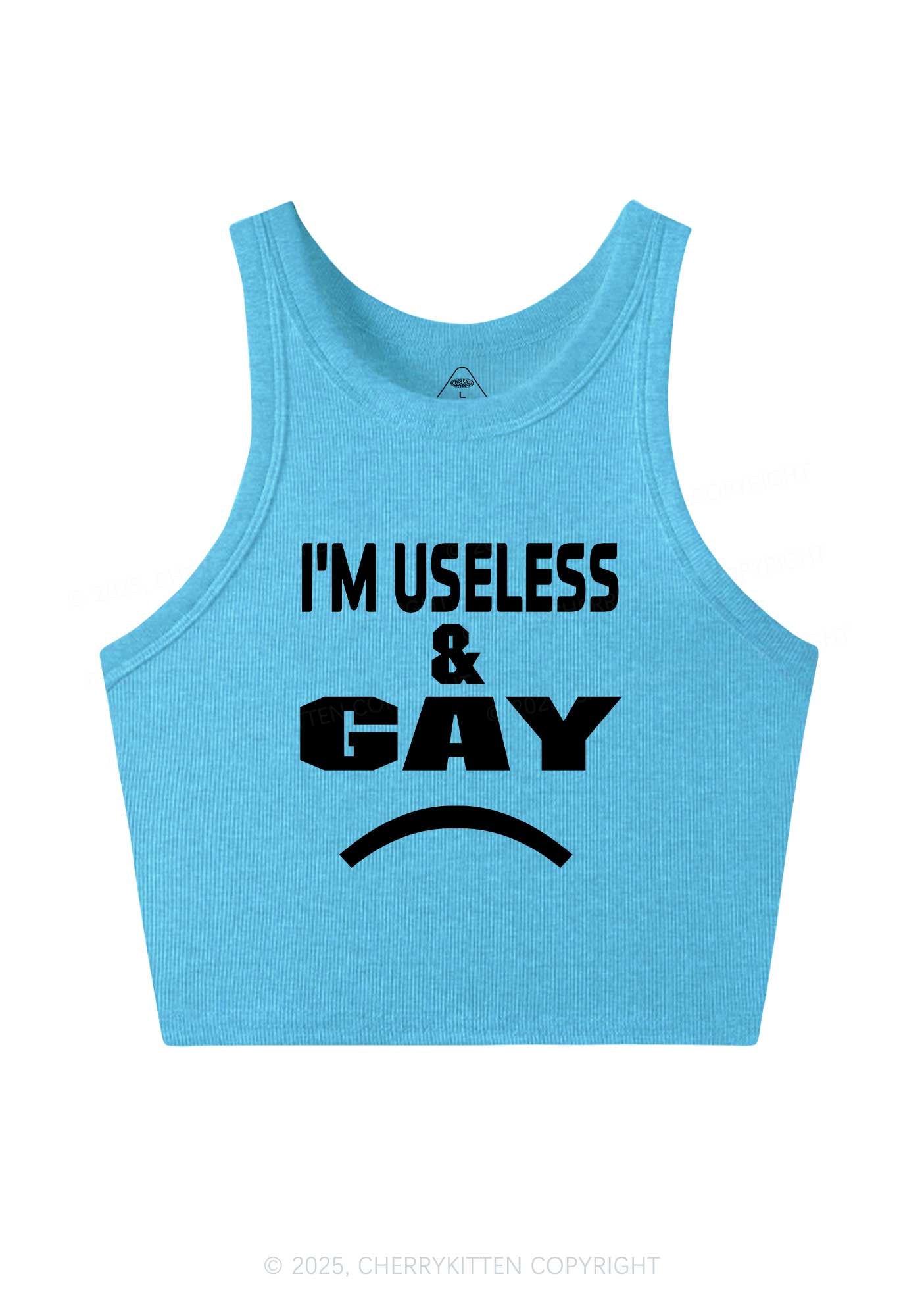 Useless Gay Pride Y2K Crop Tank Top Cherrykitten