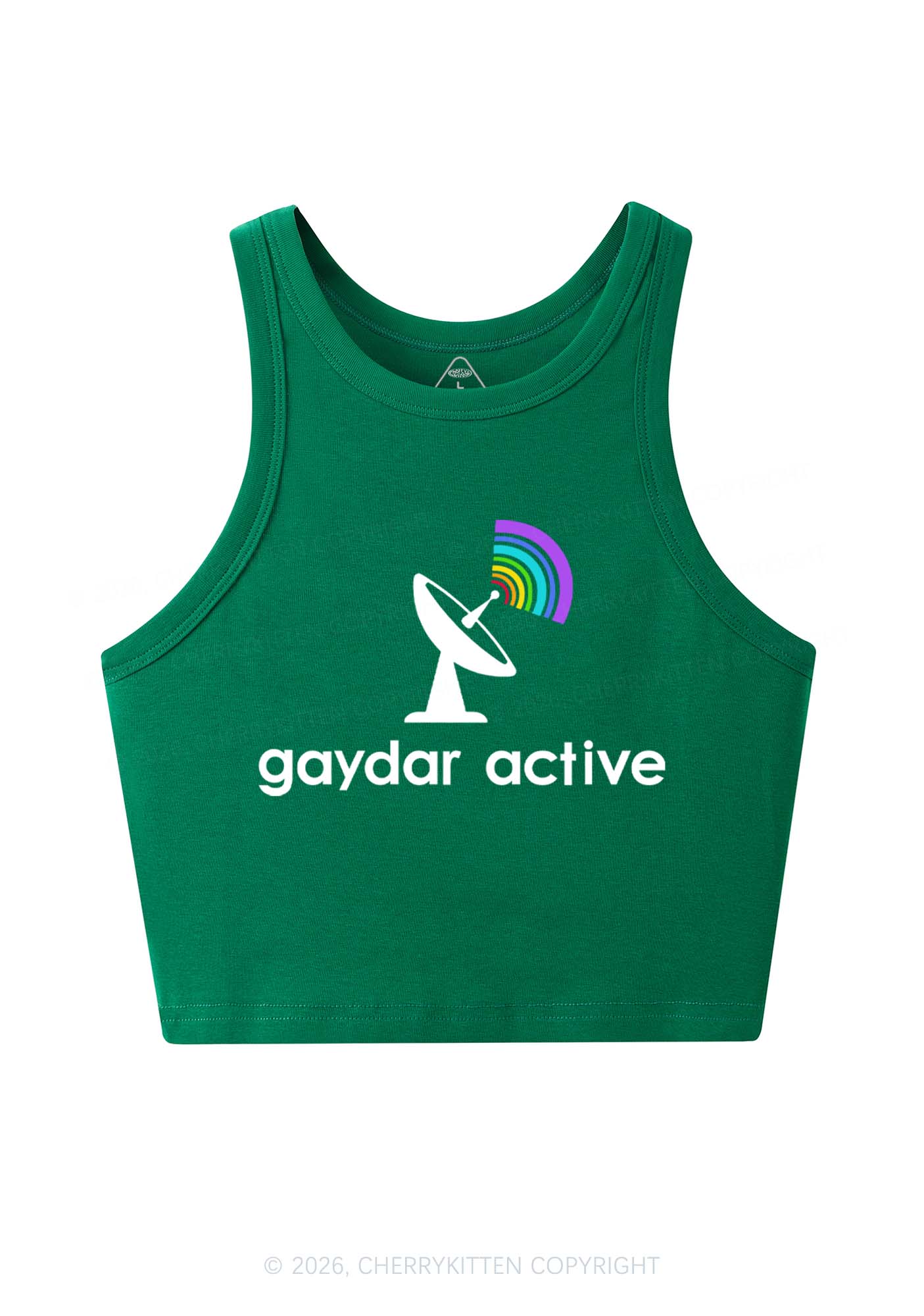 Gaydar Active Pride Y2K Crop Tank Top Cherrykitten