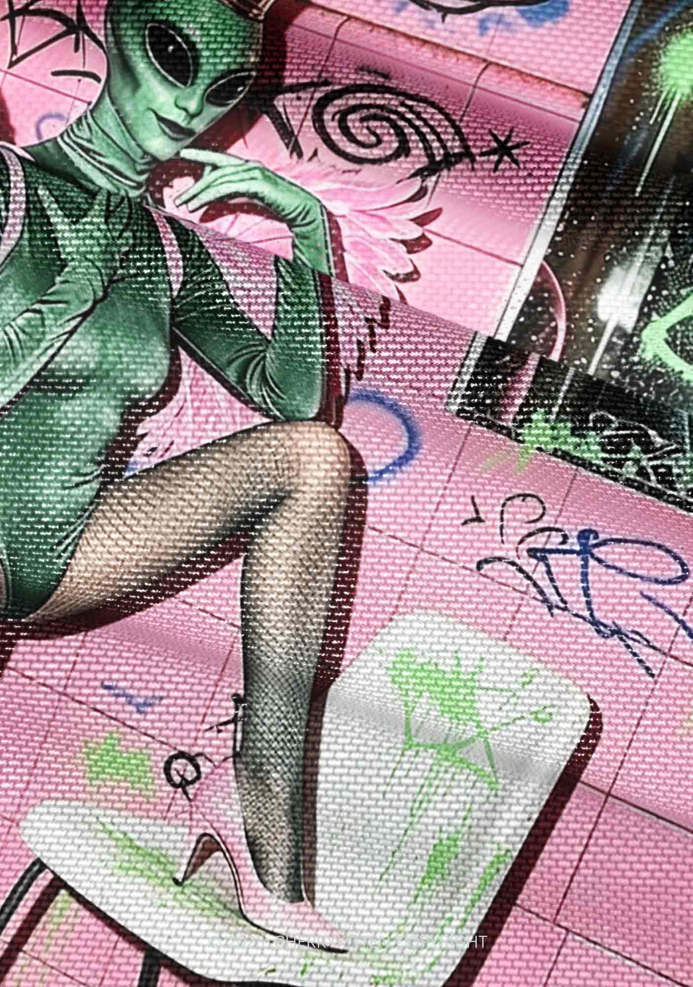 Alien Angel Graffiti Wall Y2K Mesh Ruched  Waist  V Neck Top Cherrykitten