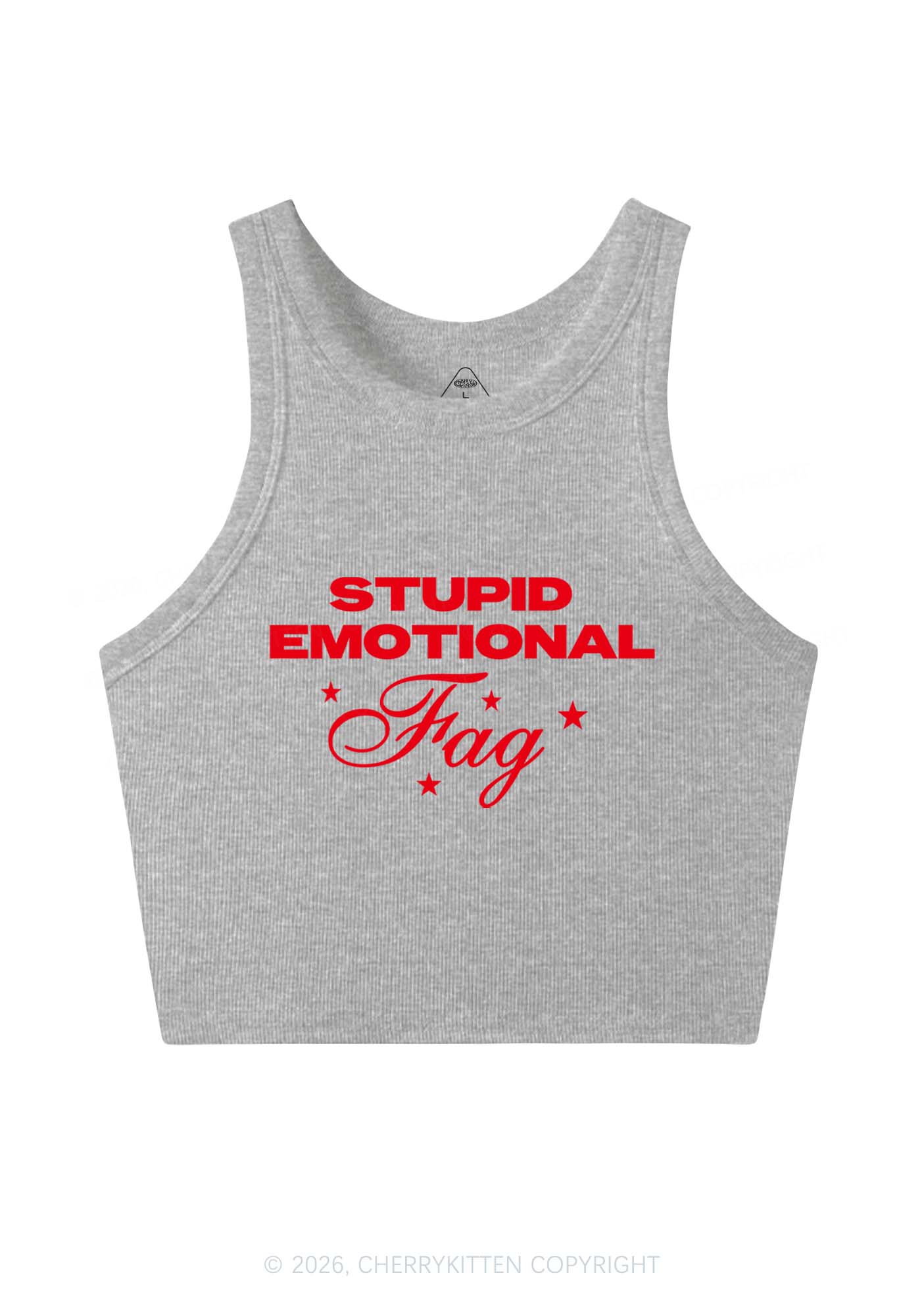 Stupid Emotional Fag Pride Y2K Crop Tank Top Cherrykitten