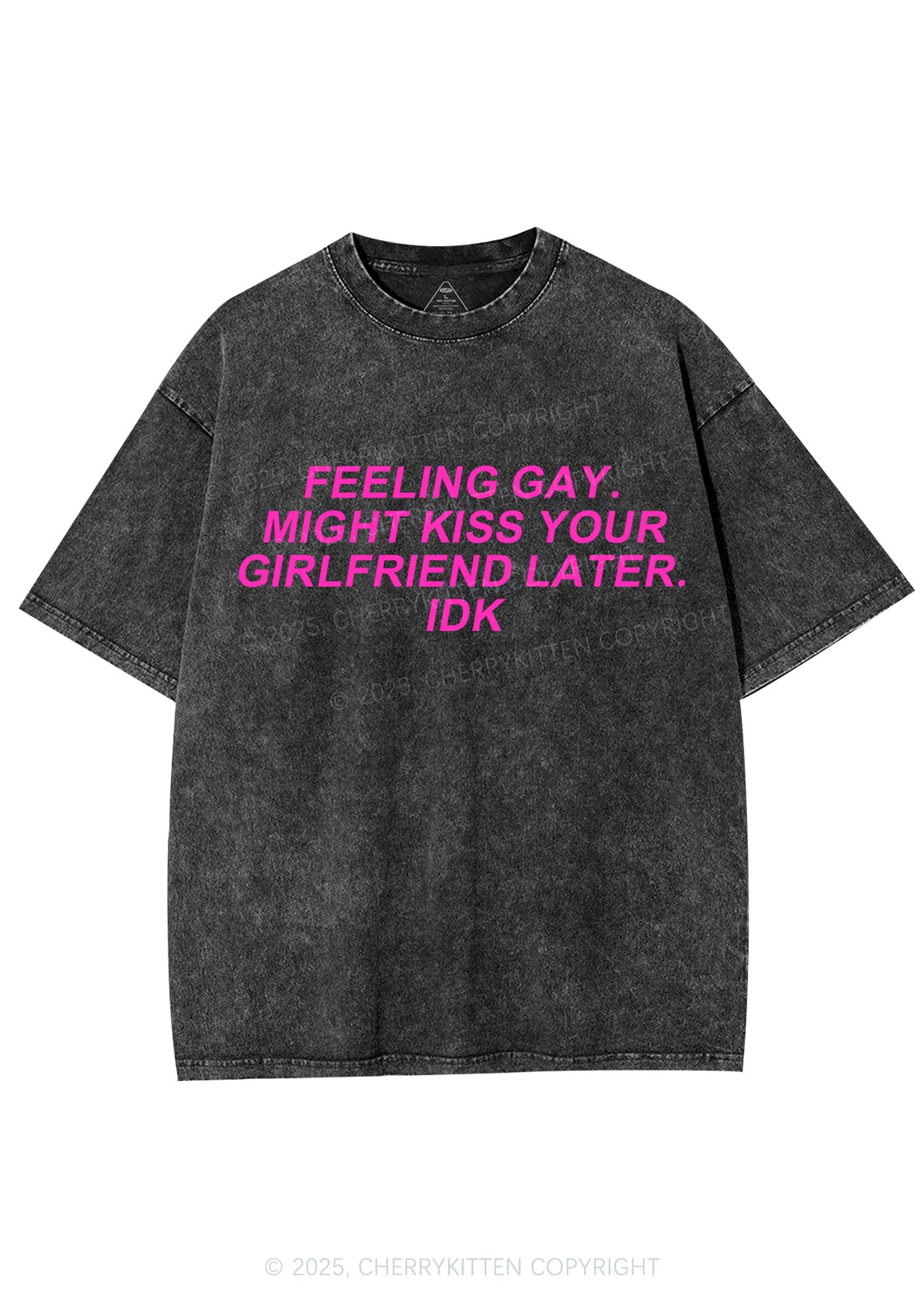 Kiss Your GF Later Pride Y2K Shirts Washed Tee Cherrykitten
