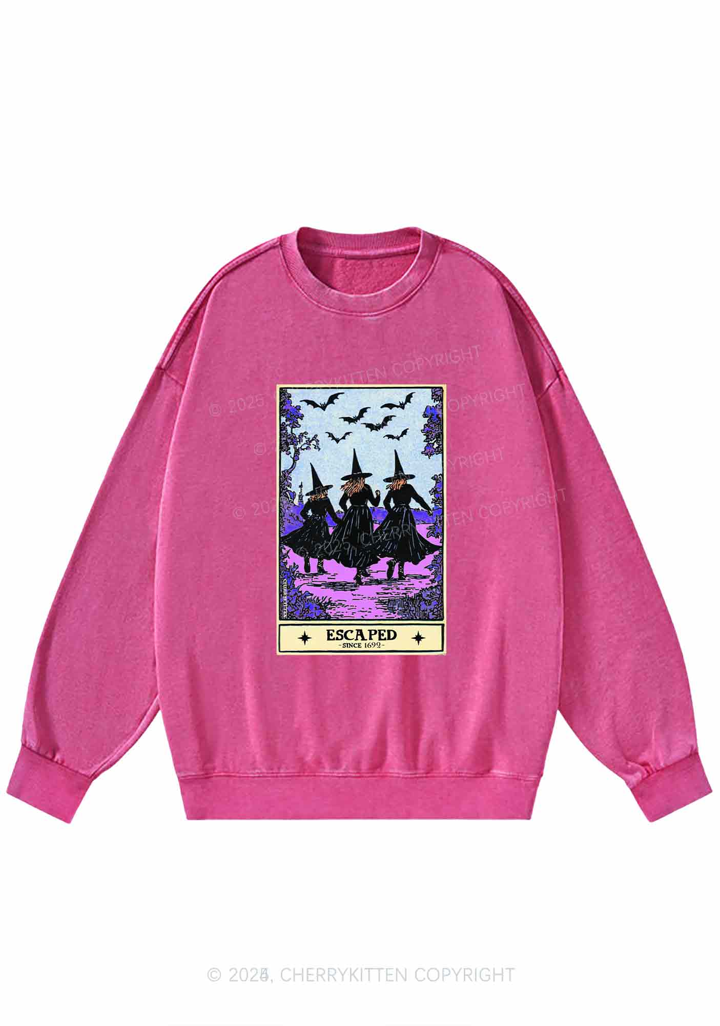 Halloween Escaped Witch Y2K Washed Sweatshirts Cherrykitten