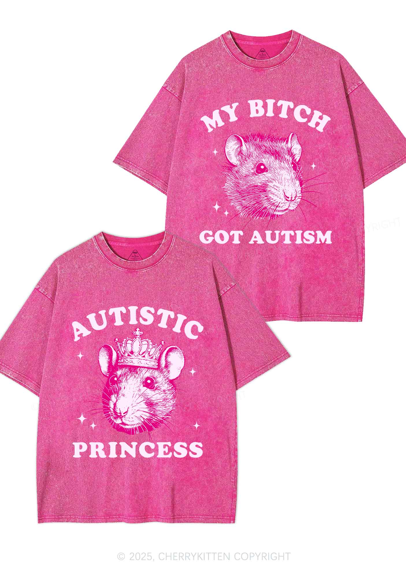 Autistic Princess Rats Y2K Valentine's Day Washed Tee Cherrykitten