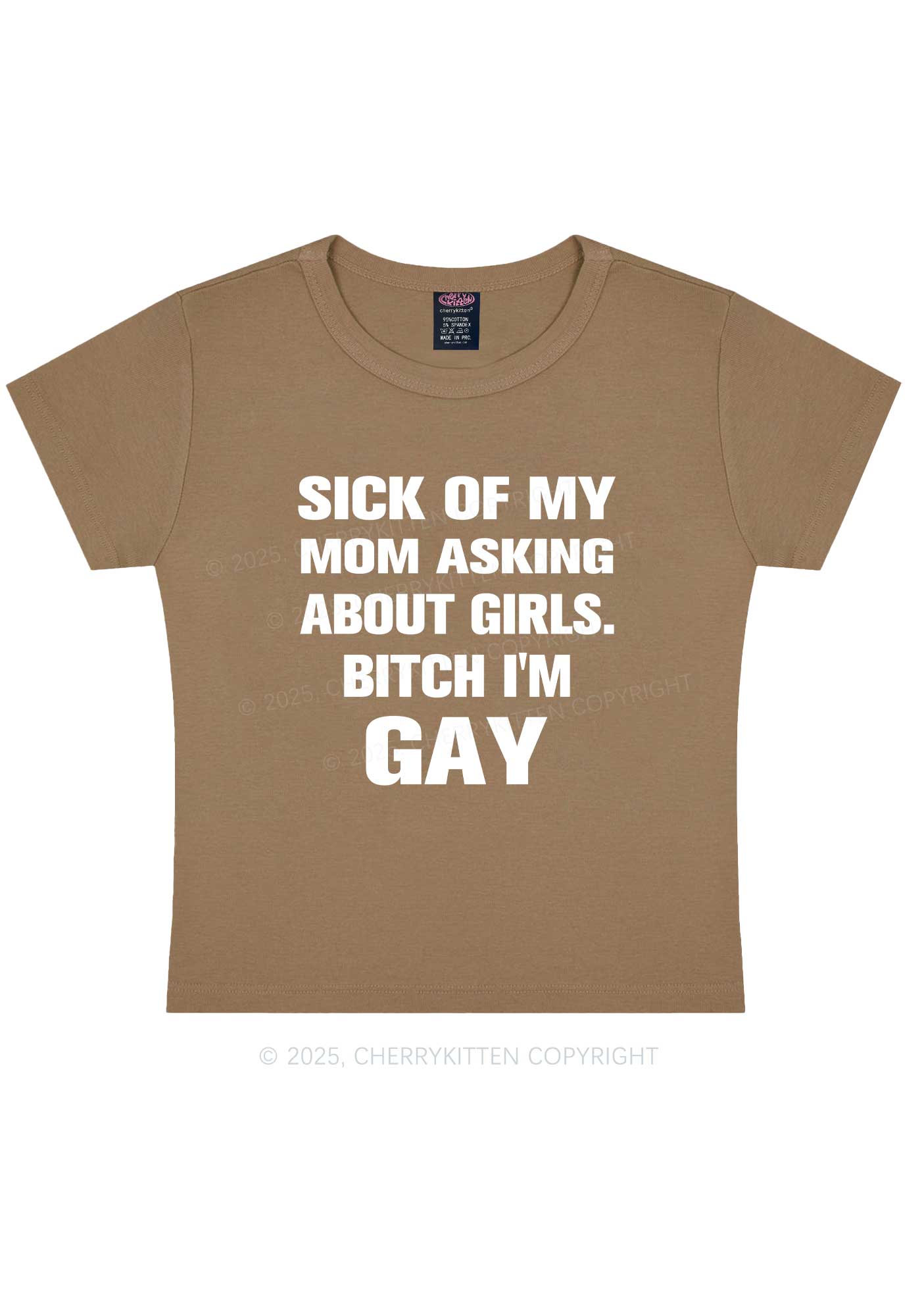 Bxxch Im Gay Pride Y2K Baby Tee Cherrykitten