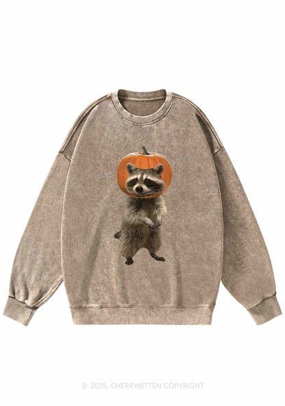 Halloween Silly Raccoon Y2K Washed Sweatshirts Cherrykitten