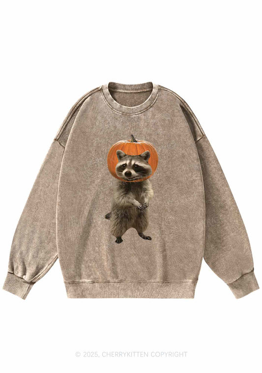 Halloween Silly Raccoon Y2K Washed Sweatshirts Cherrykitten
