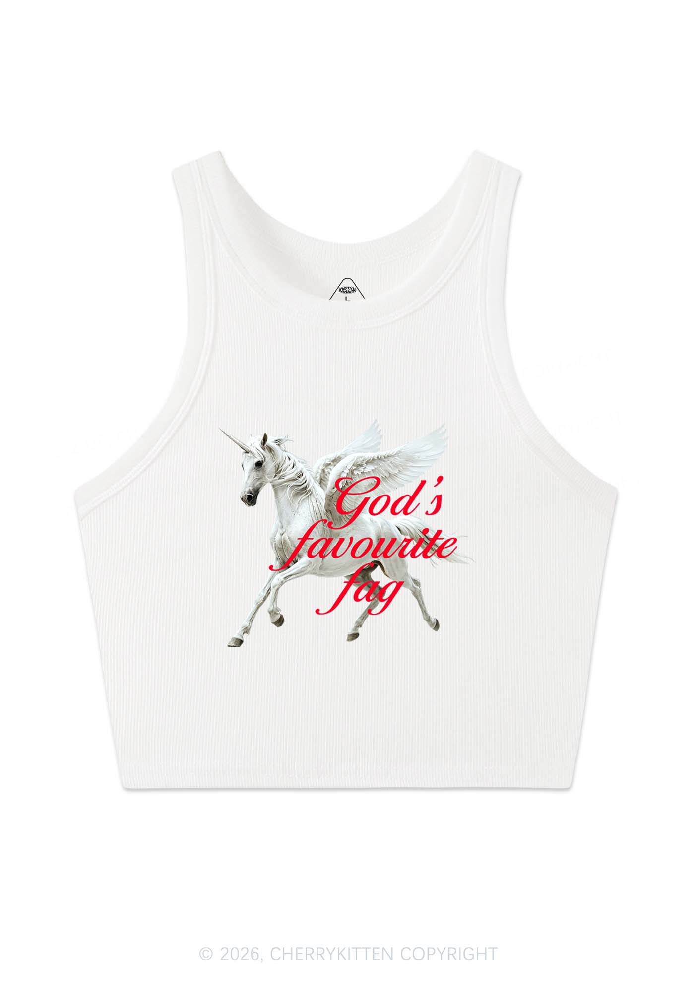 Gods Favourite Fag Pride Y2K Crop Tank Top Cherrykitten
