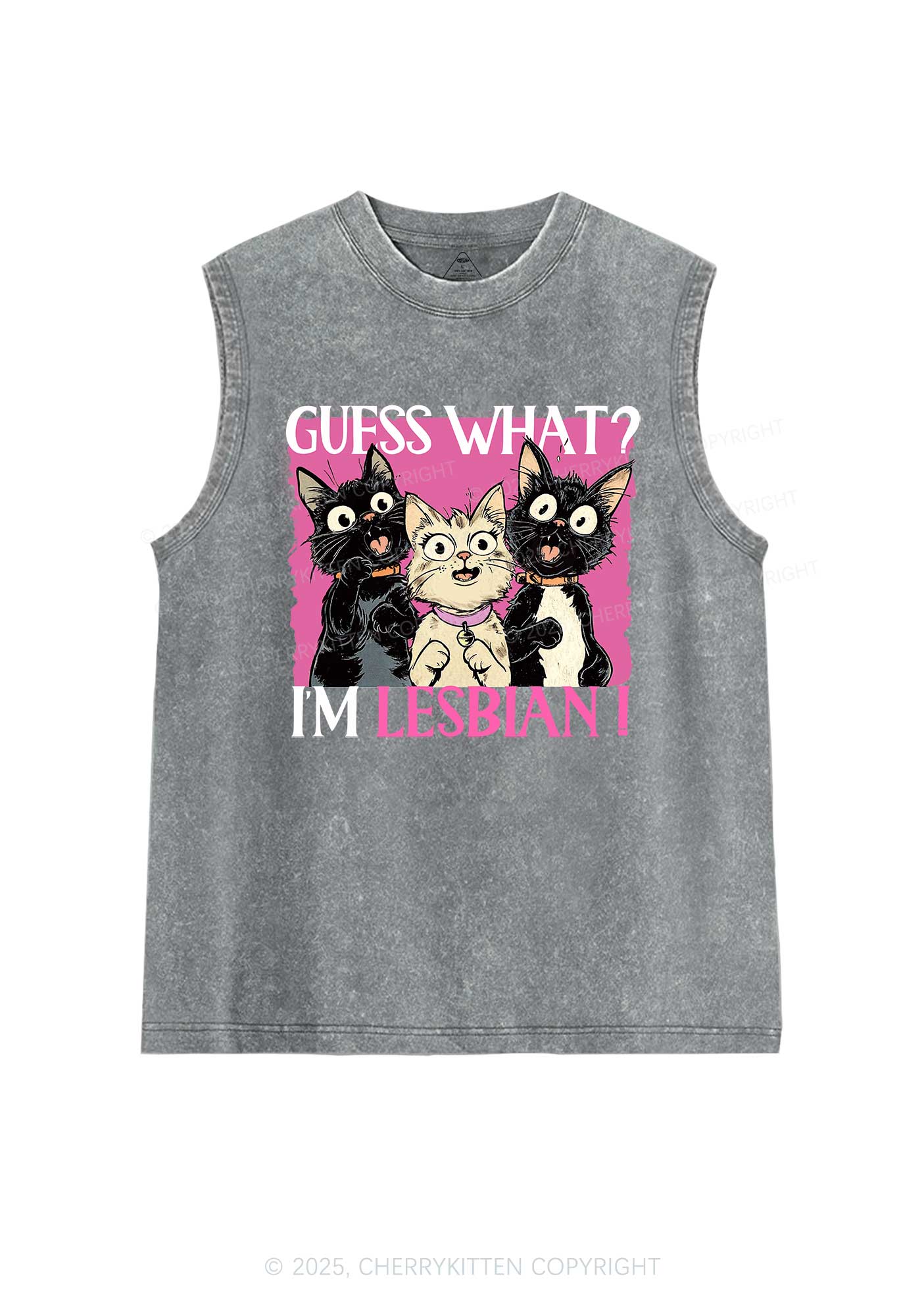 Im Lesbian Cat Pride Y2K Washed Muscle Tank Cherrykitten