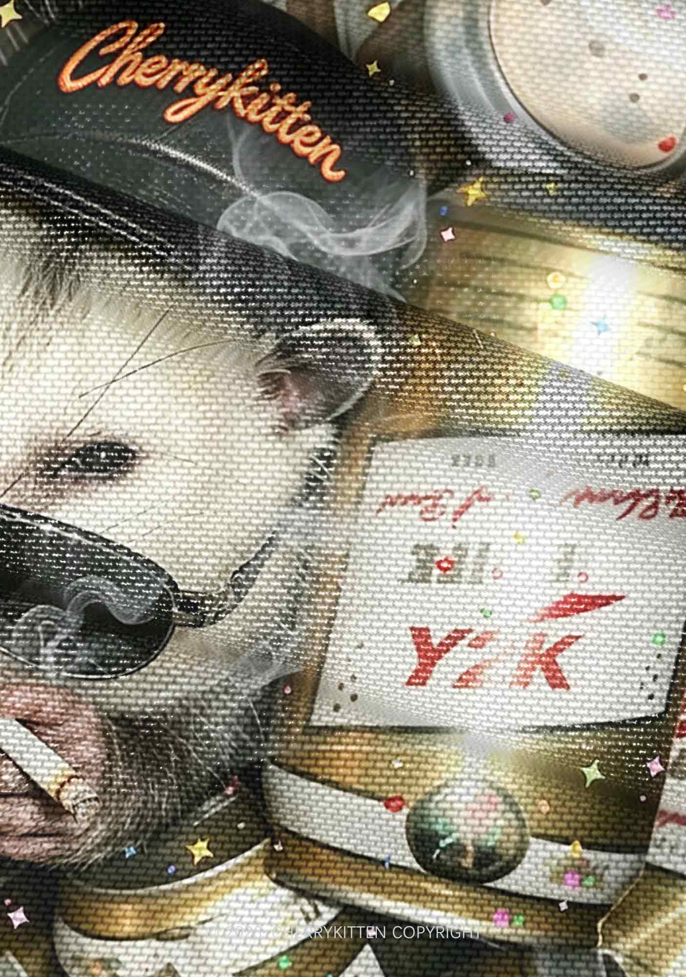 Smoking Opossum Y2K Mesh Ruched? Waist??V Neck?Top Cherrykitten