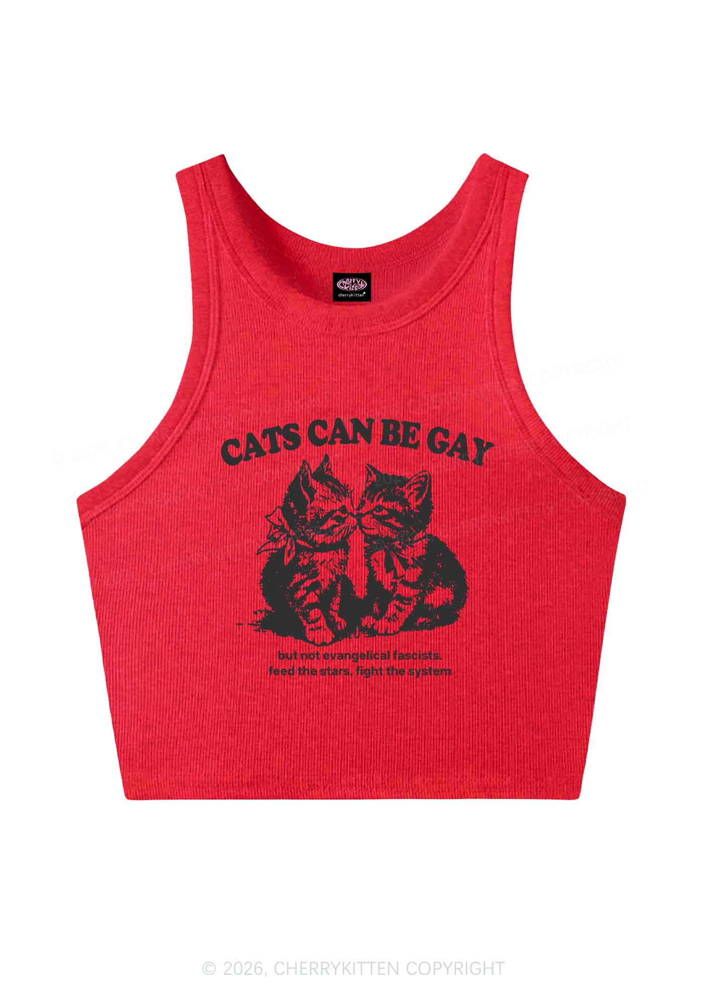 Cat Can Be Gay Pride Y2K Crop Tank Top Cherrykitten