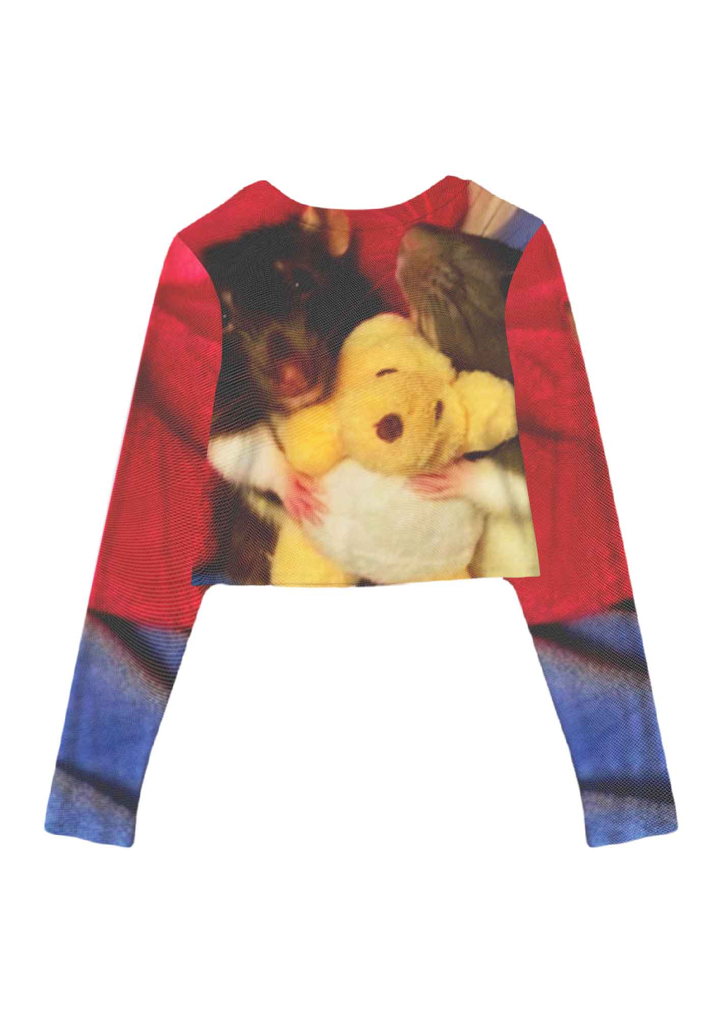 Rats with Doll Y2K Mesh Long Sleeve Crop Top Cherrykitten