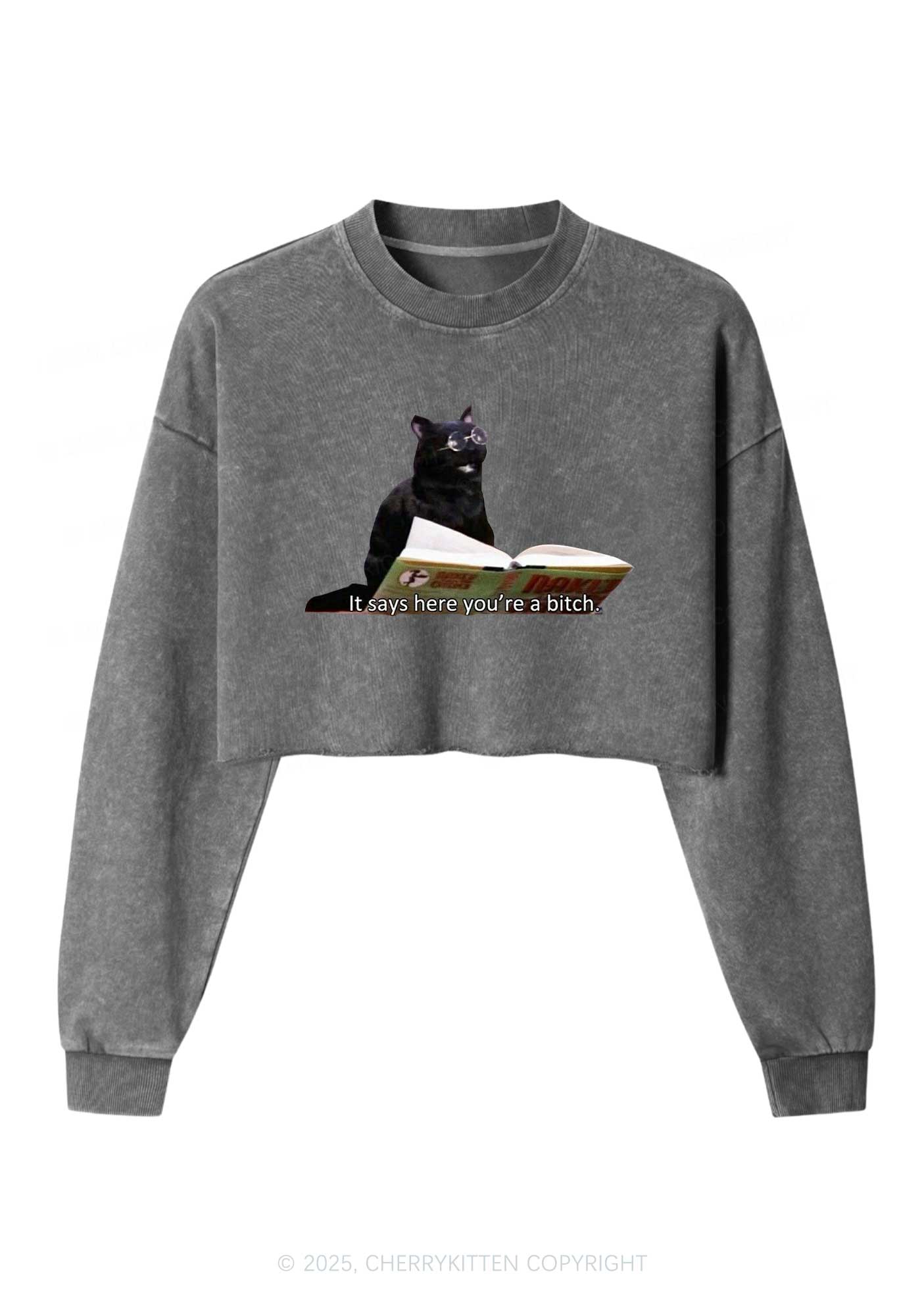 It Says Here Youre A Bixxh Y2K Crop Washed Sweatshirts Cherrykitten