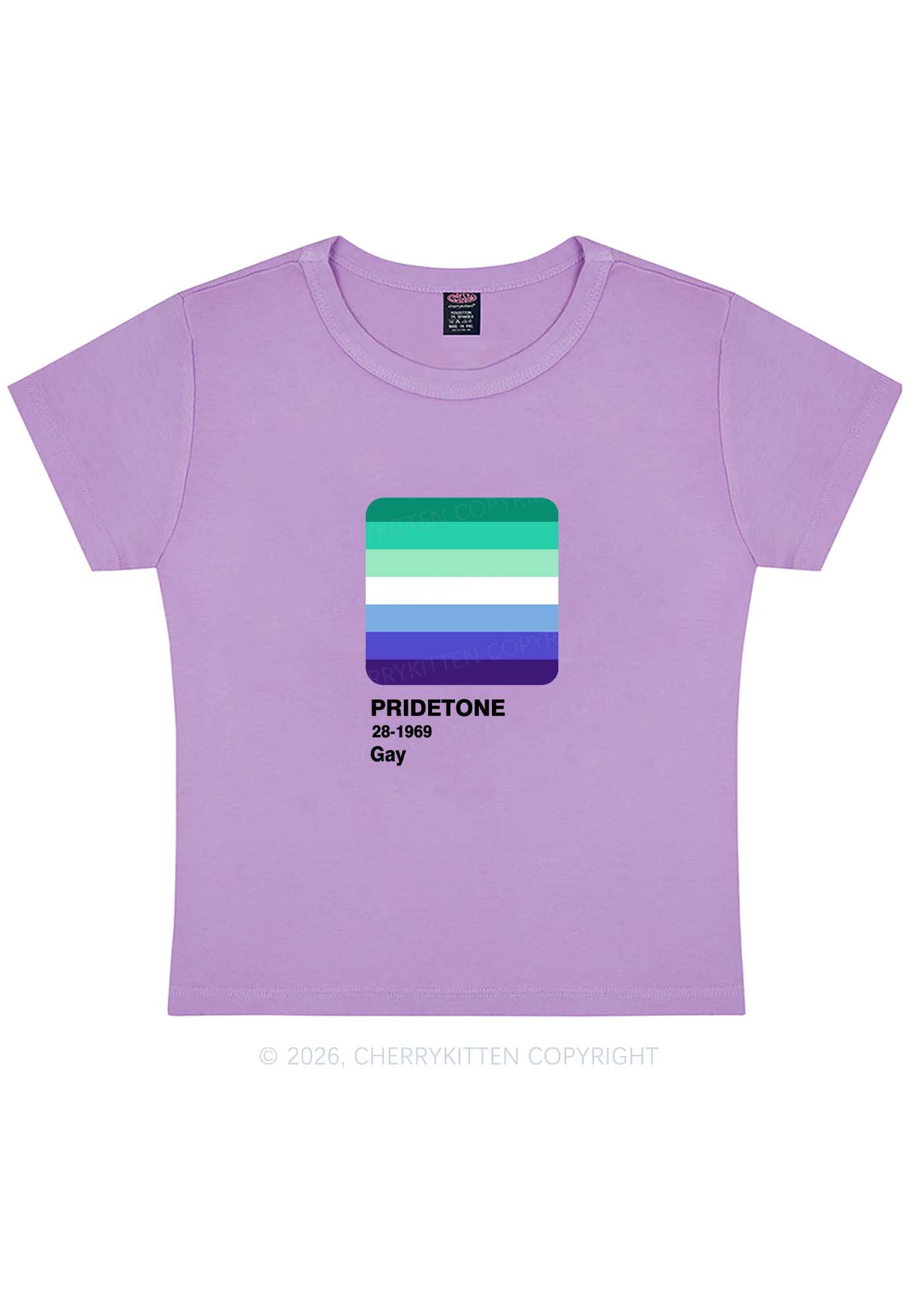 Pridetone Gay Pride Y2K Baby Tee Cherrykitten