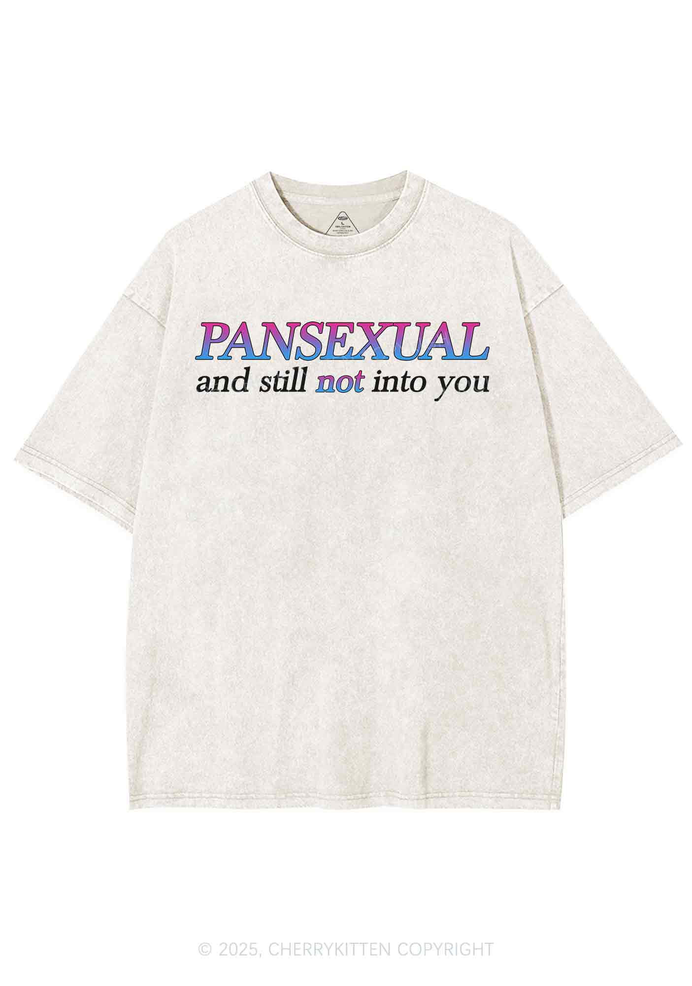 Pansexual Still Not Into You Pride Y2K Shirts Washed Tee Cherrykitten
