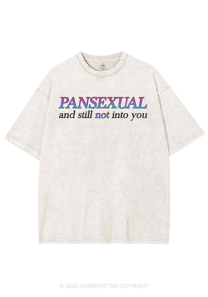Pansexual Still Not Into You Pride Y2K Shirts Washed Tee Cherrykitten