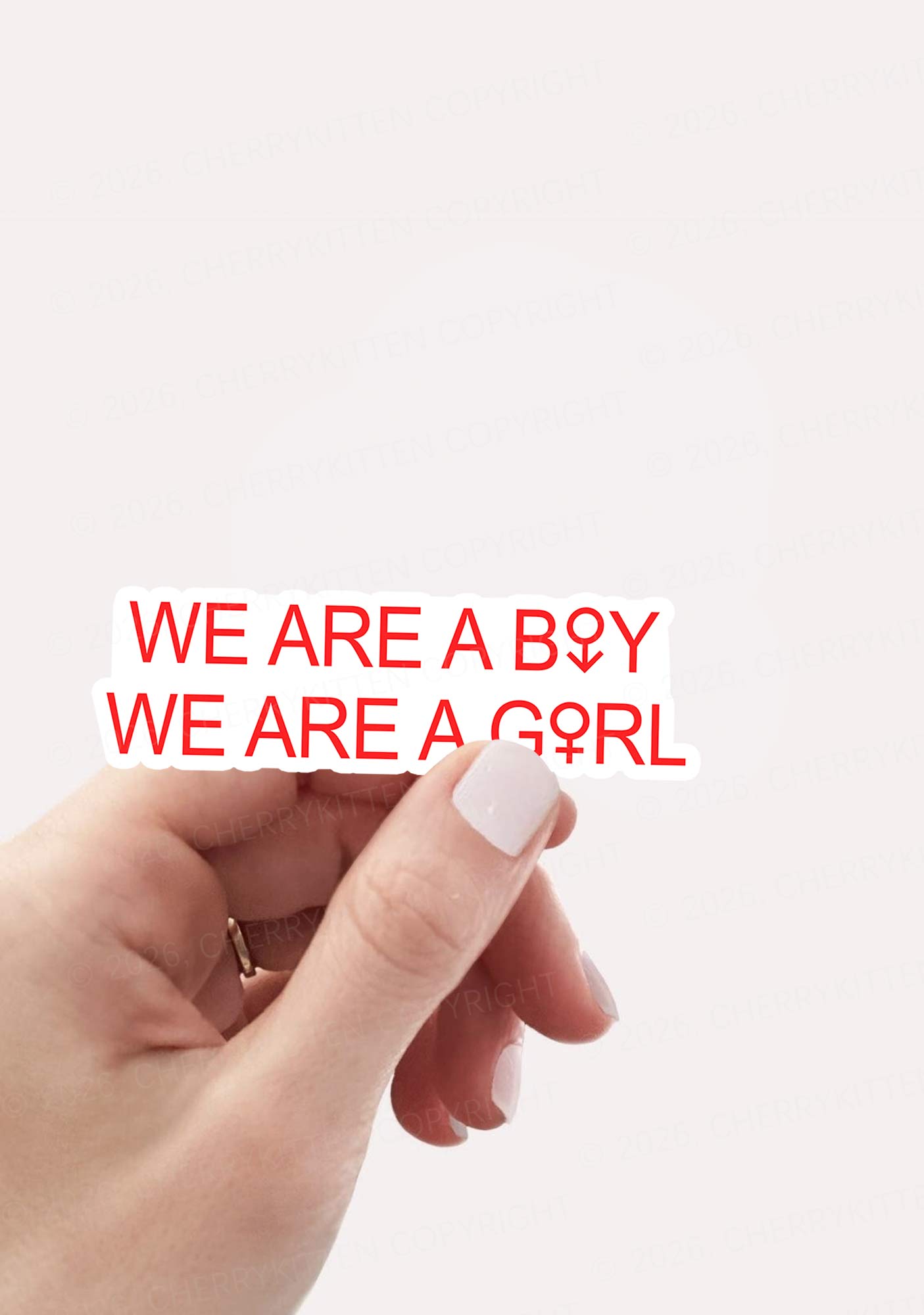 We Are A Boy Pride 1pc Y2K Sticker Cherrykitten