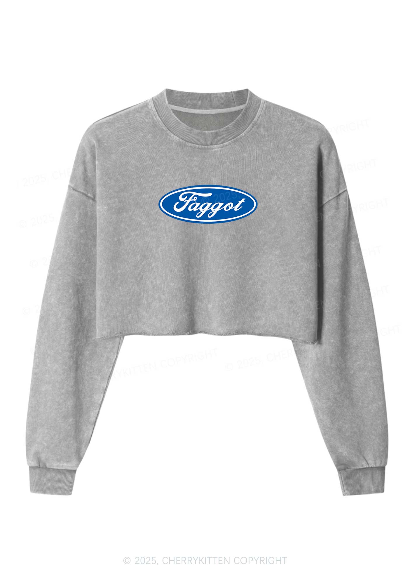 Faggot Pride Y2K Crop Washed Sweatshirts Cherrykitten