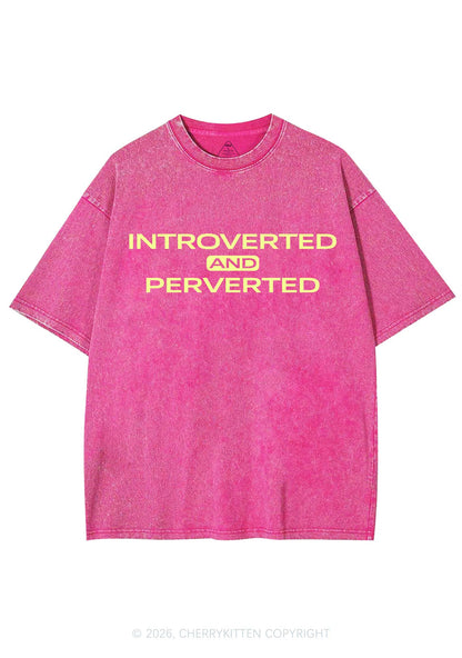 Introverted And Perverted Y2K Shirts Washed Tee Cherrykitten