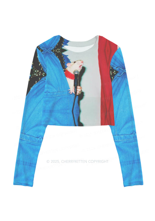 Singer Ratz Y2K Mesh Long Sleeve Crop Top Cherrykitten