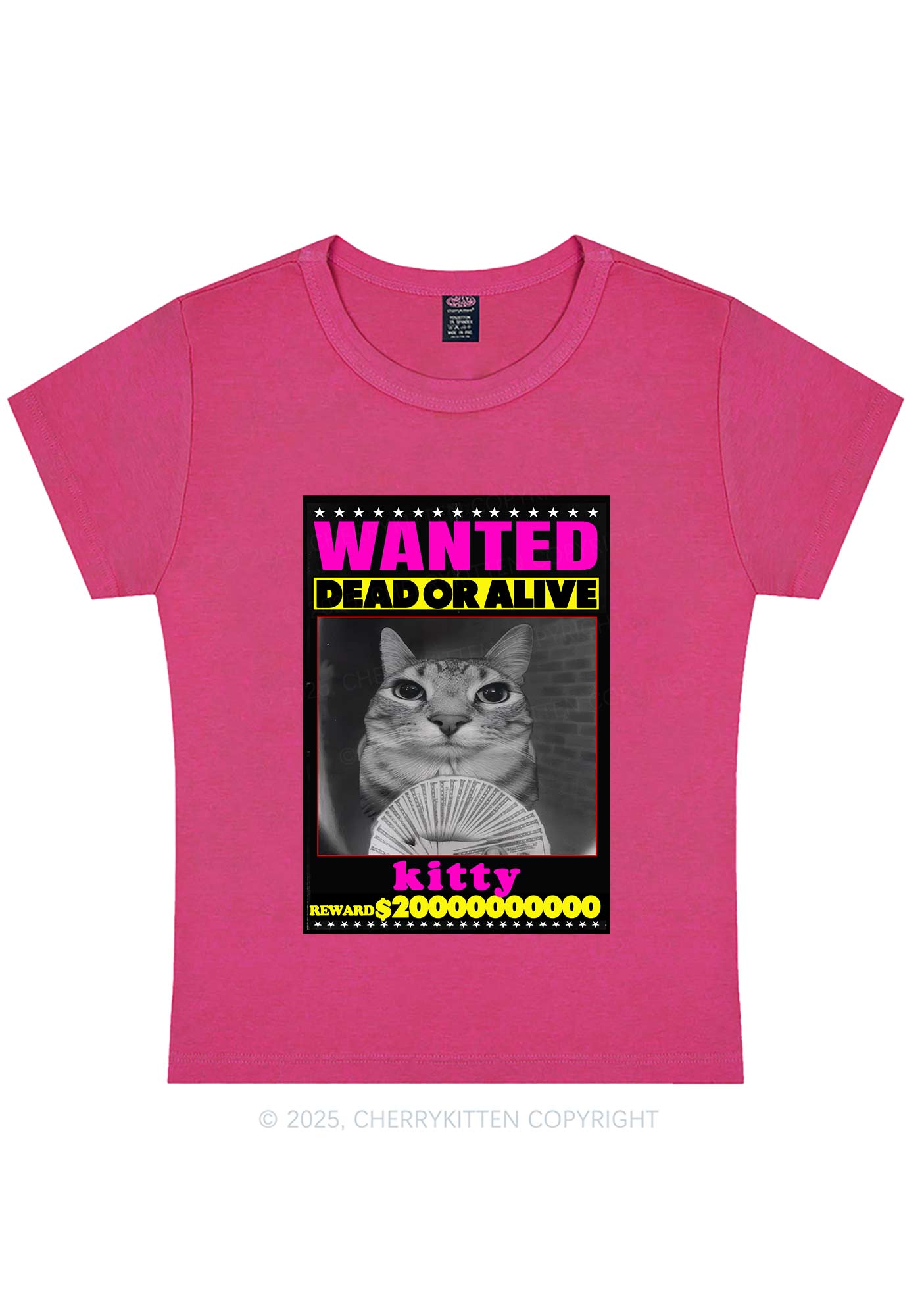 Custom Wanted Kitten Y2K Baby Tee Cherrykitten