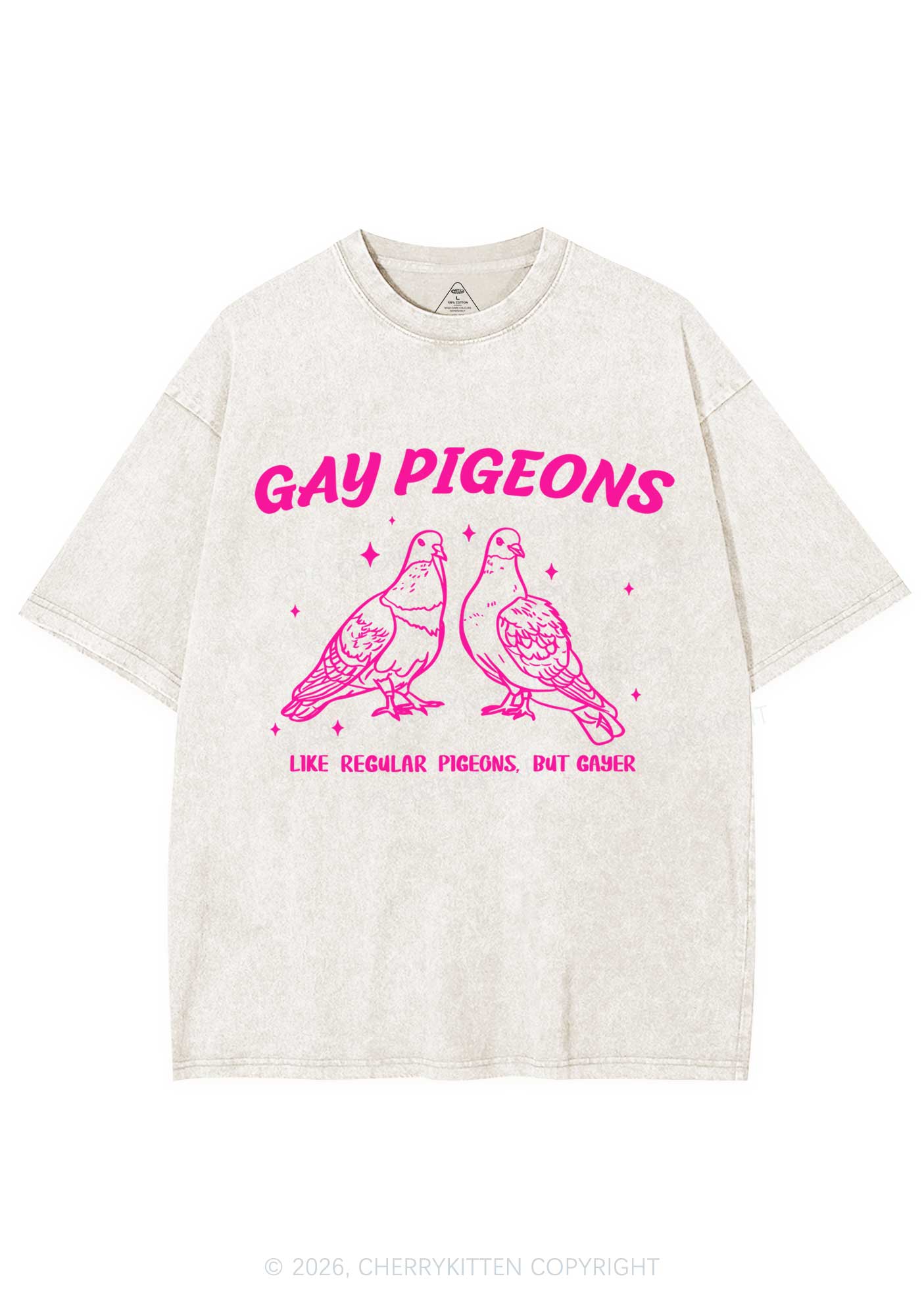 Gay Pigeons Pride Y2K Shirts Washed Tee Cherrykitten
