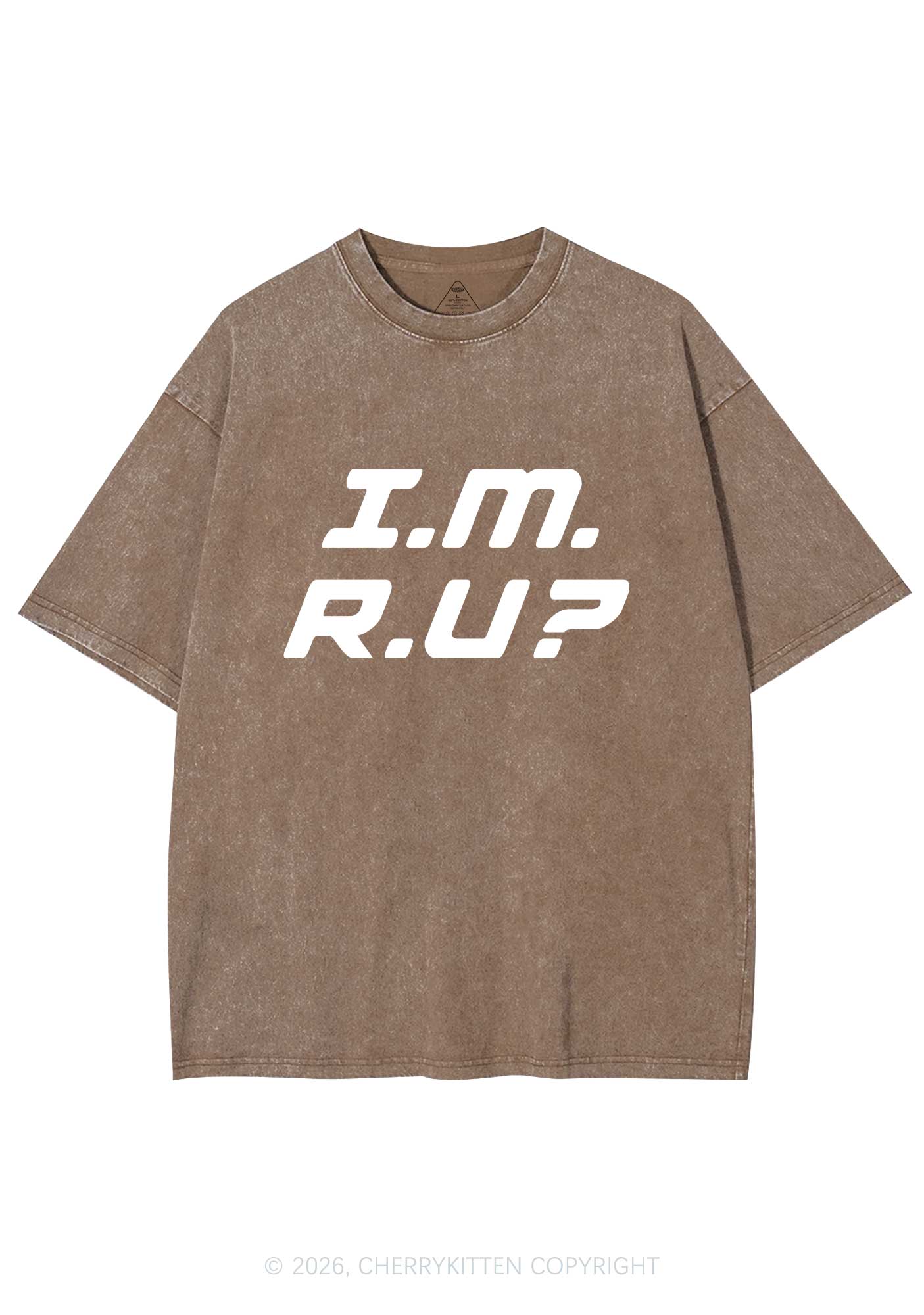 Im Ru Pride Y2K Shirts Washed Tee Cherrykitten