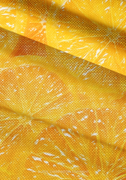 Orange Slice Y2K Mesh Ruched? Waist??V Neck?Top Cherrykitten